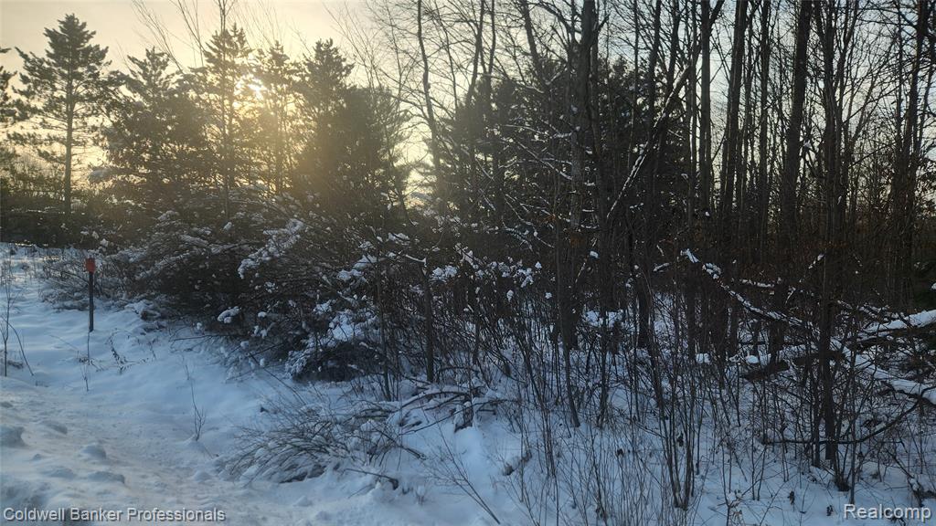 0 Chambers Road Caro, MI 48723 - Photo 4 of 6 Gallery Image 4