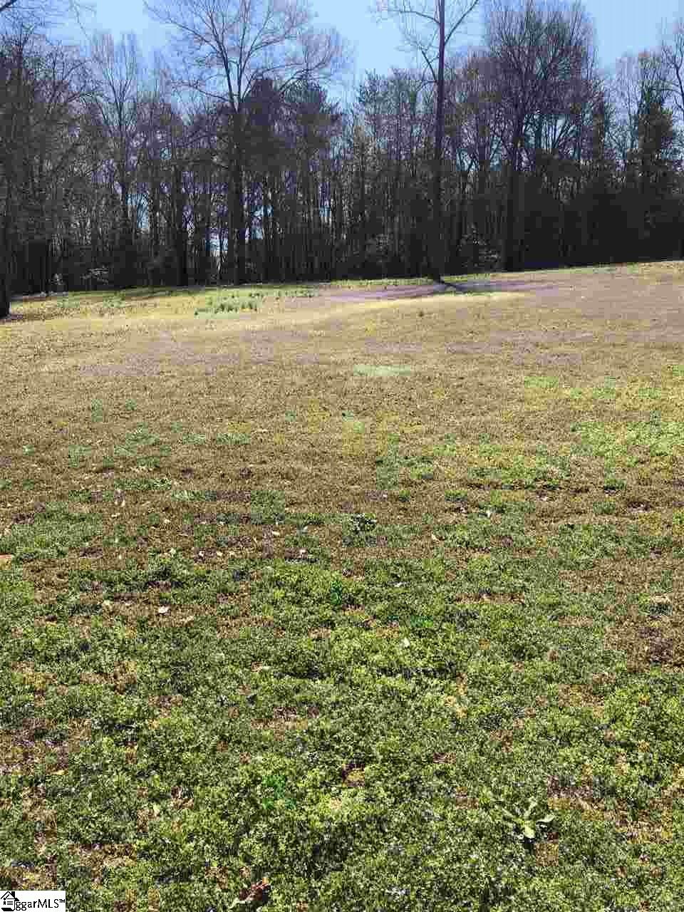 Shadowmere Drive Pelzer, SC 29669 - Photo 1 of 2 Gallery Image 1