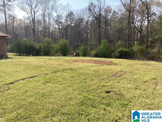 1207 Cherokee Trail Ohatchee, AL 36271 - Photo 10 of 23