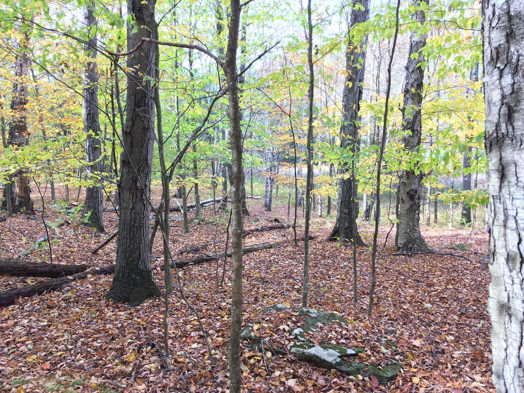 896 Peters Road Hancock, NY 13783 - Photo 8 of 11