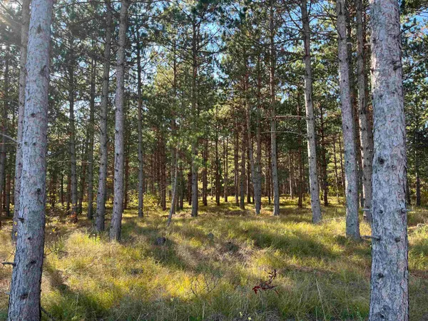 $2,800,000 | Lot 4 Luna, Nekoosa, WI 54457
