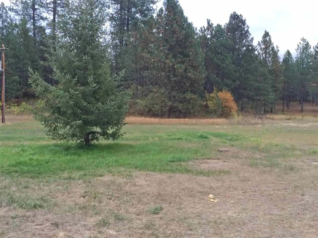 38915 North Elk Chattaroy Road Elk, WA 99009 - Photo 15 of 20