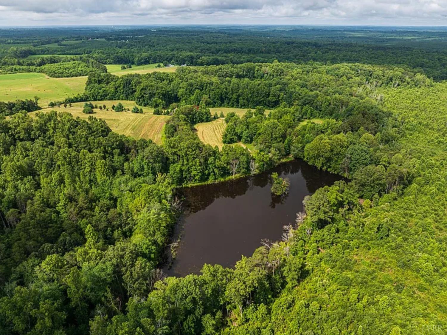 909 Flying W Road Brookneal, VA 24528 - Photo 2 of 2 a view of a lake with a city