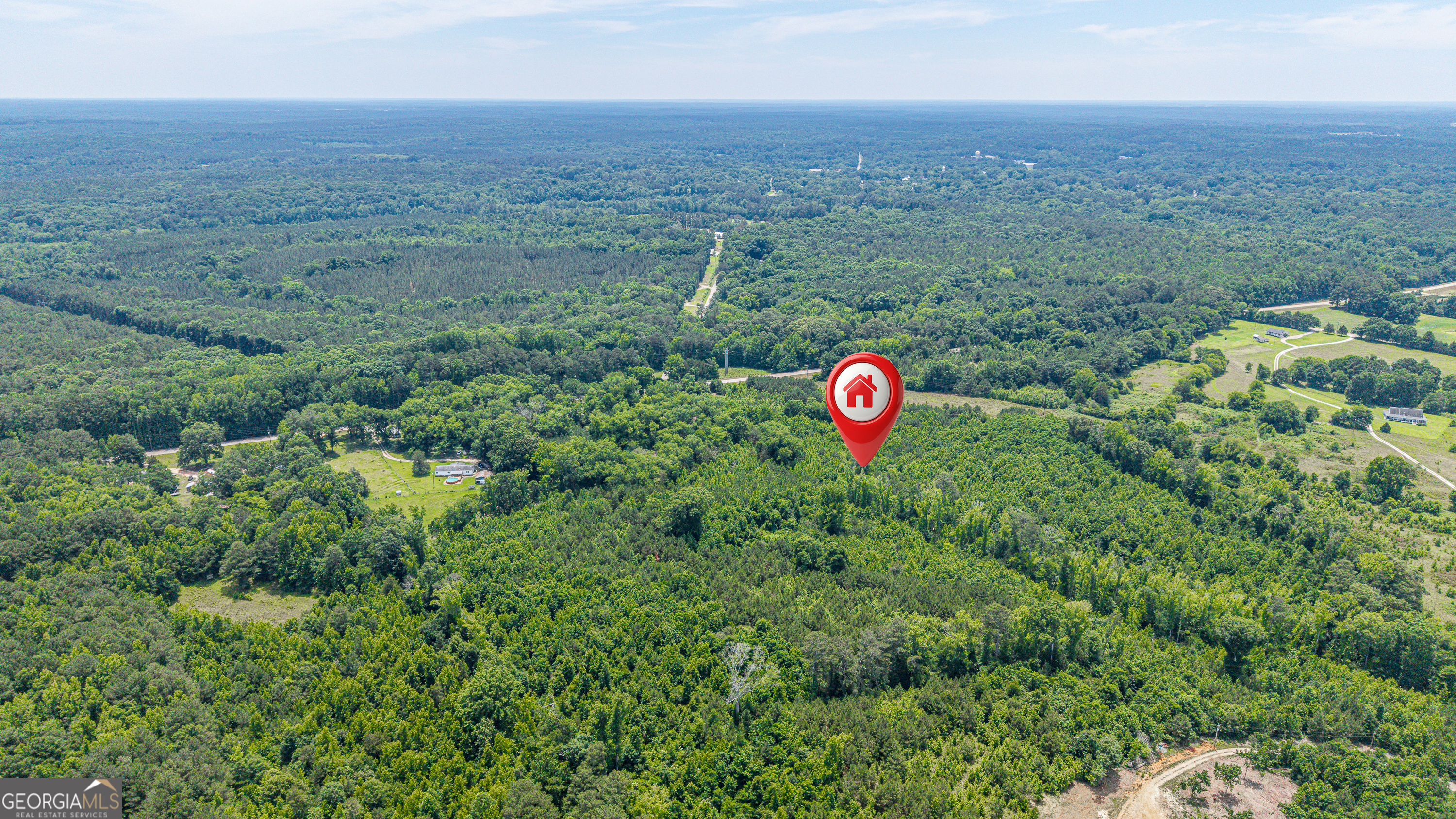 0 Washington Highway Union Point, GA 30669 - Photo 5 of 22