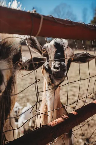 $449,900 | 11260 County Road 2180, Rolla, MO 65401