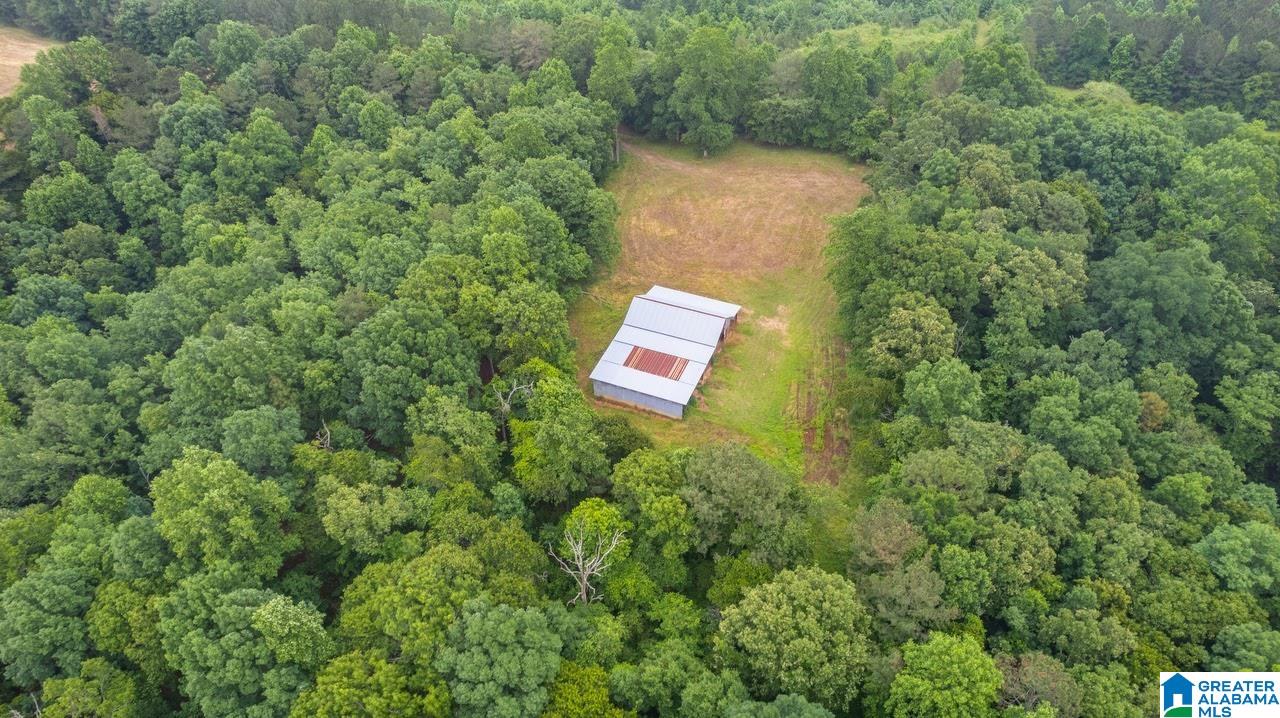 14791 County Road 10, Unit 45 ACRES Ranburne, AL 36273 - Photo 22 of 43