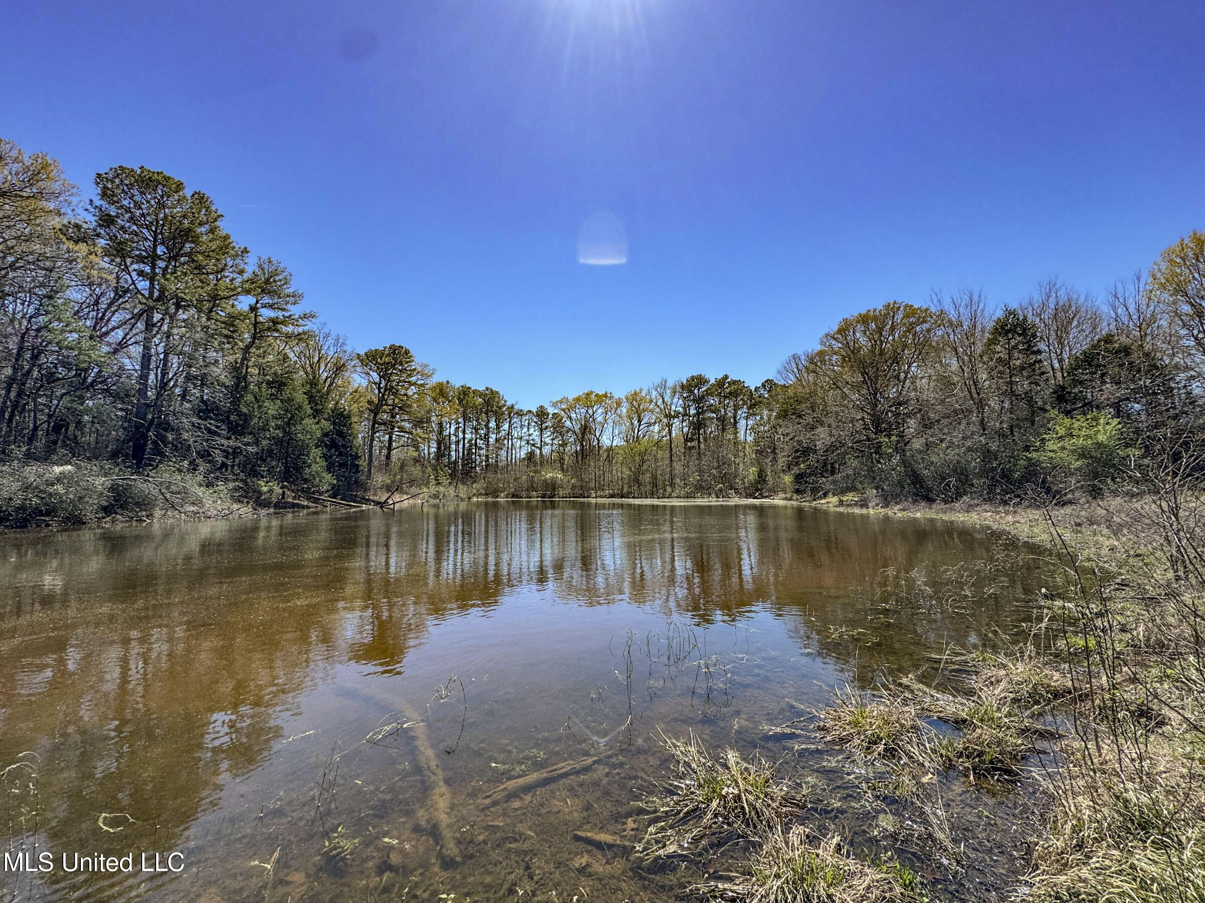 Ms-35 Charleston, MS 38921 - Photo 102 of 119 4omtch47