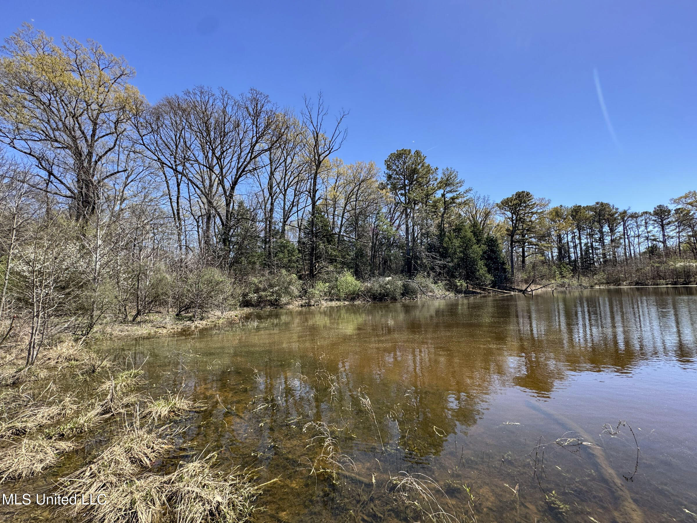 Ms-35 Charleston, MS 38921 - Photo 103 of 119 4omtch48