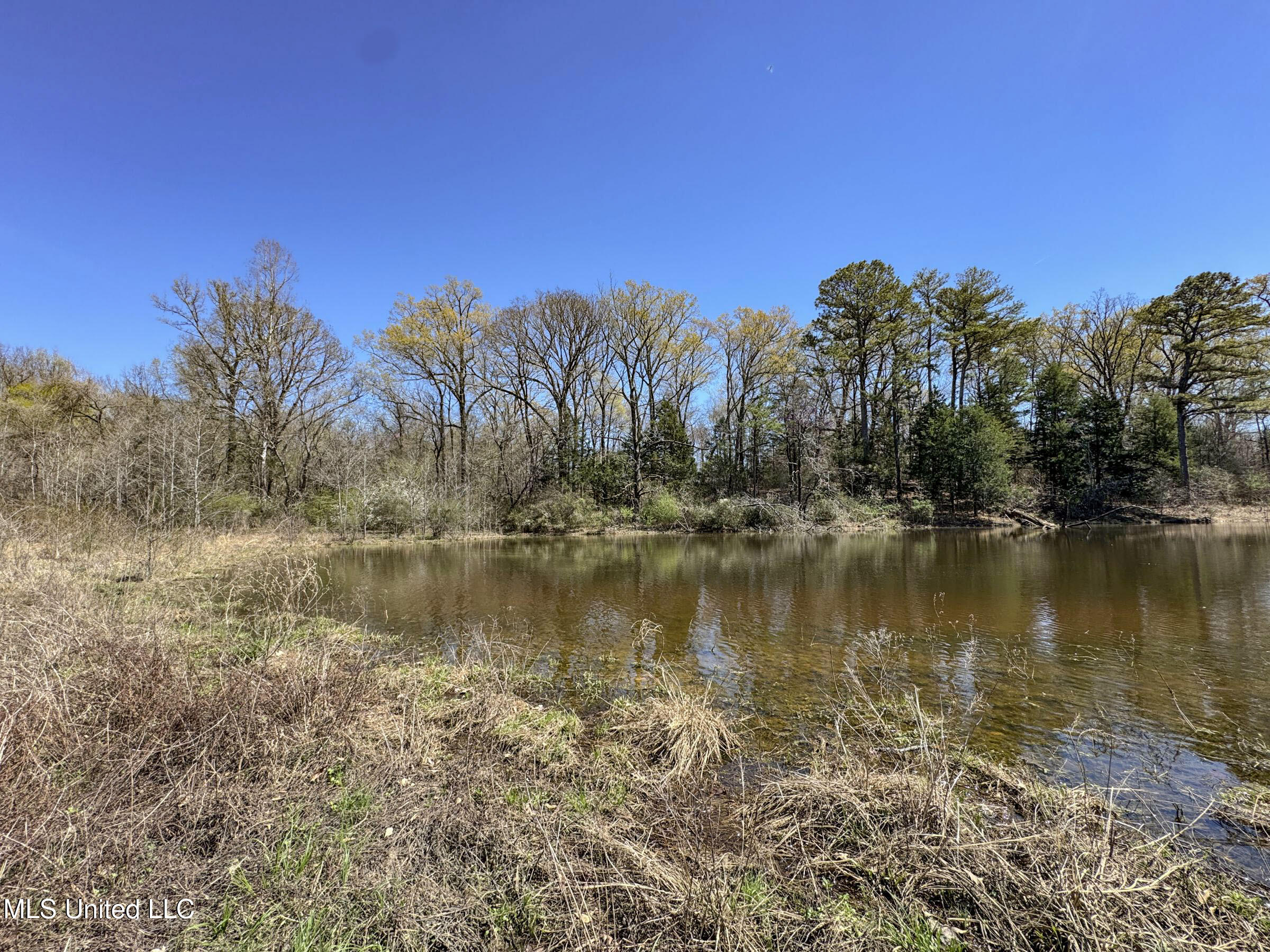 Ms-35 Charleston, MS 38921 - Photo 104 of 119 4omtch49
