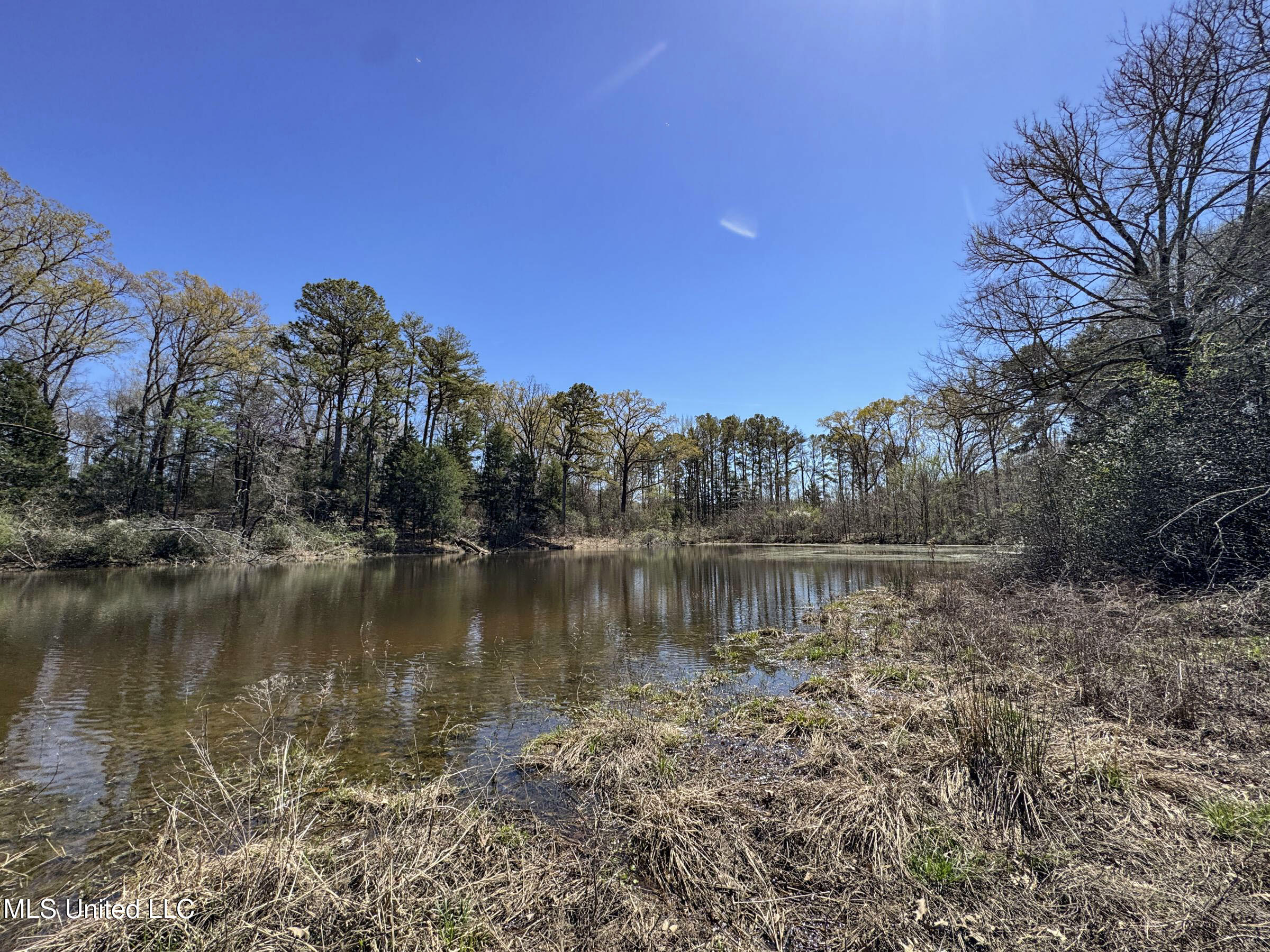 Ms-35 Charleston, MS 38921 - Photo 105 of 119 4omtch50