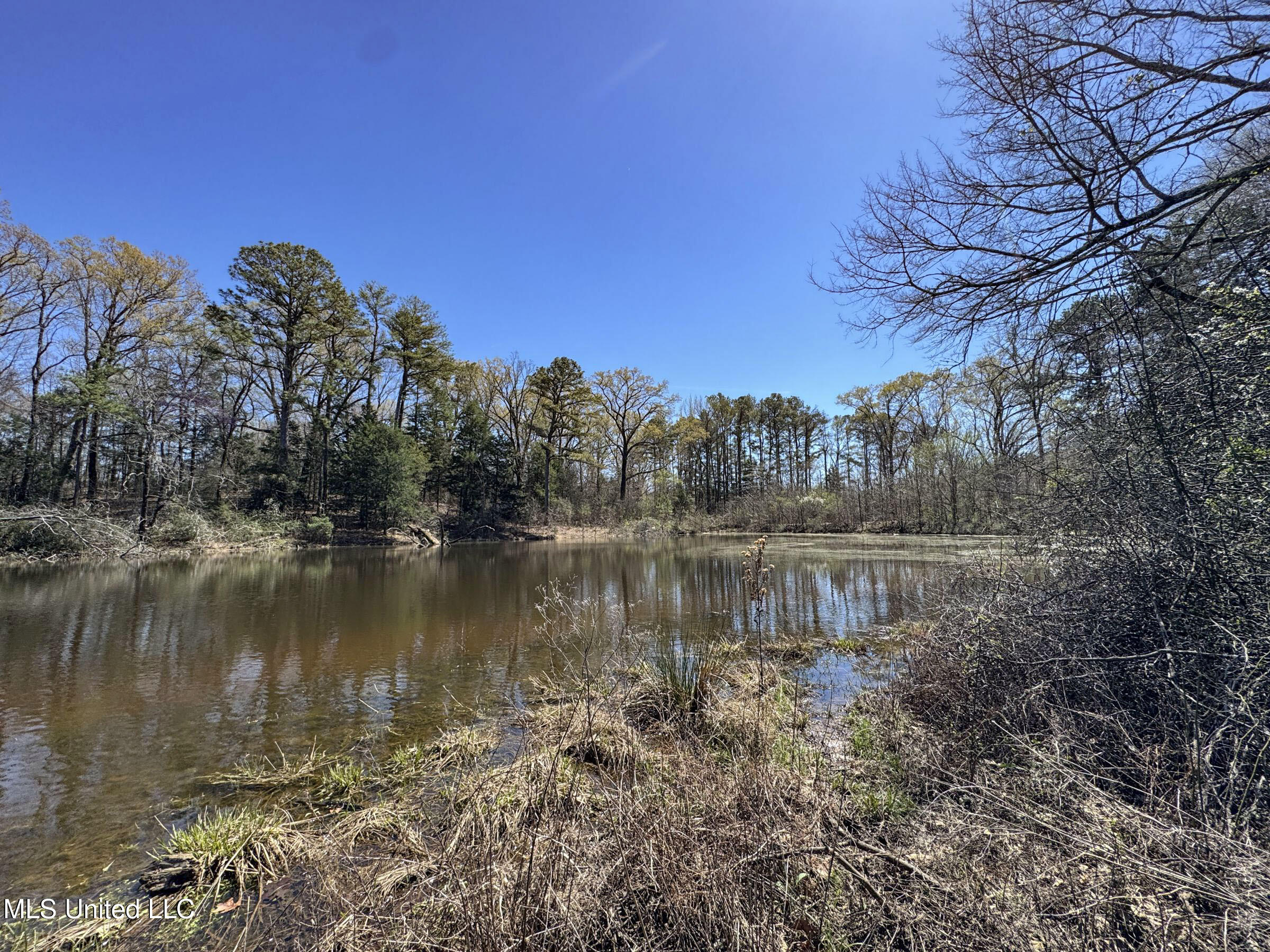 Ms-35 Charleston, MS 38921 - Photo 106 of 119 4omtch51