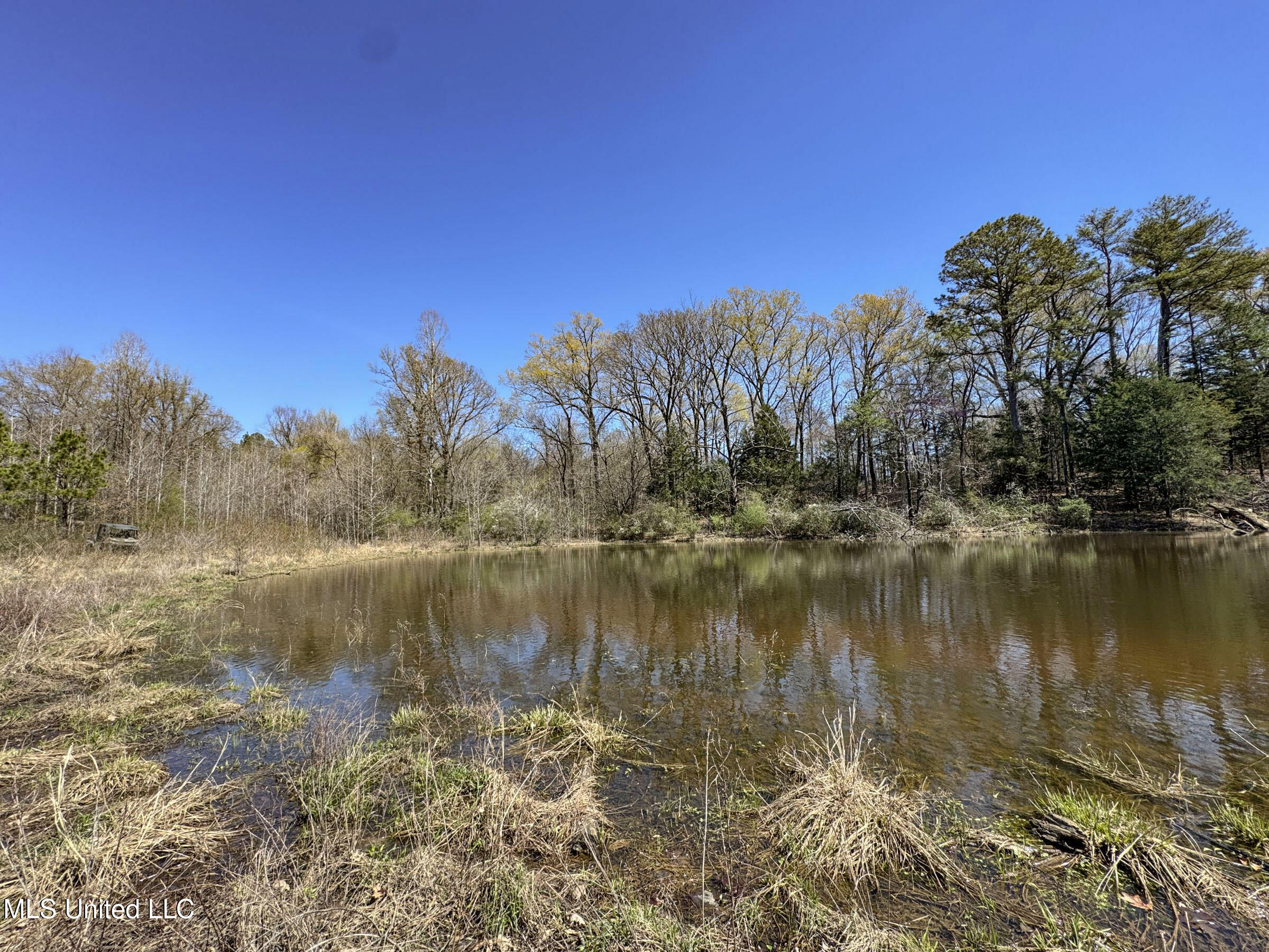 Ms-35 Charleston, MS 38921 - Photo 107 of 119 4omtch52
