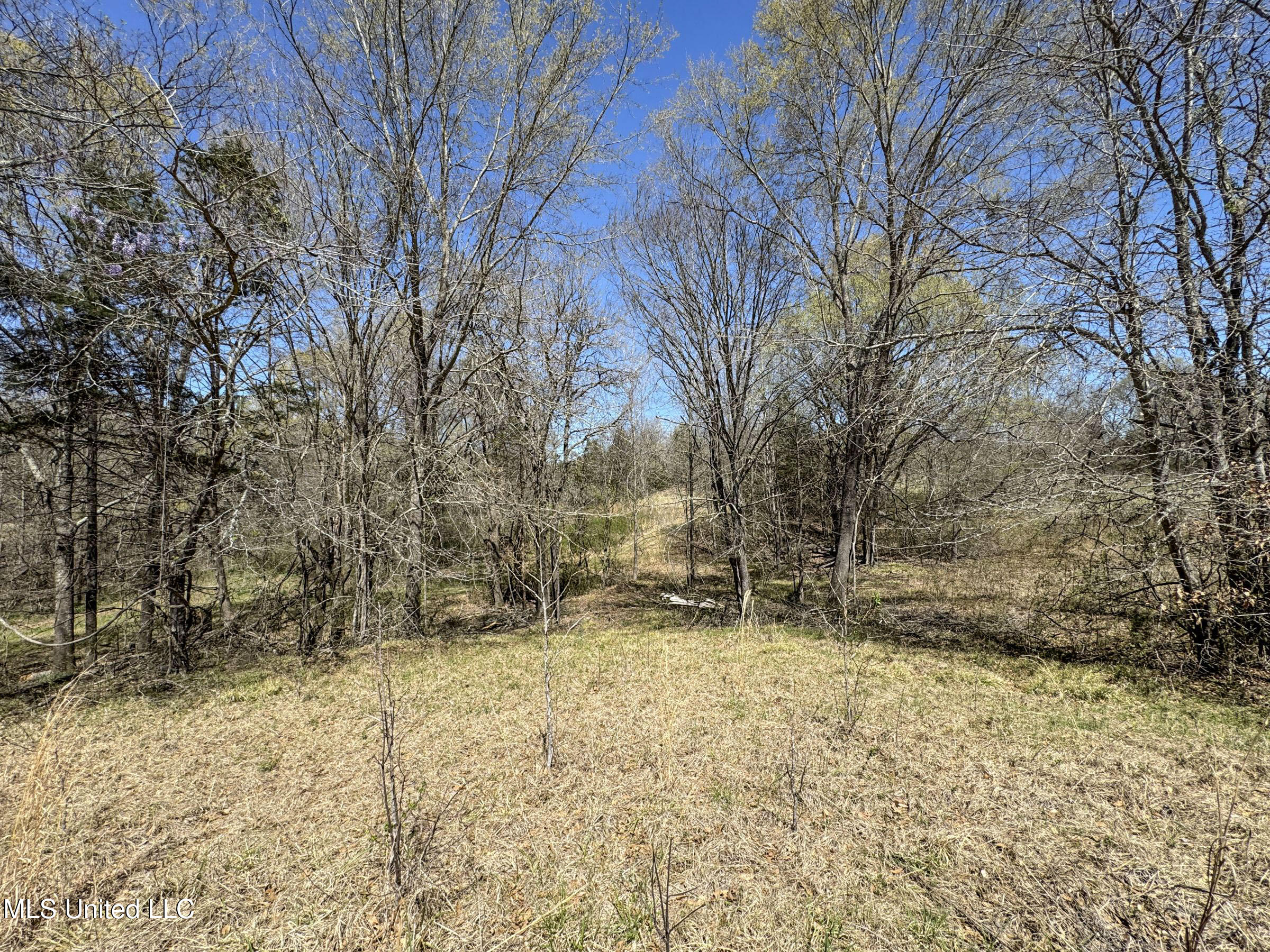 Ms-35 Charleston, MS 38921 - Photo 108 of 119 4omtch53