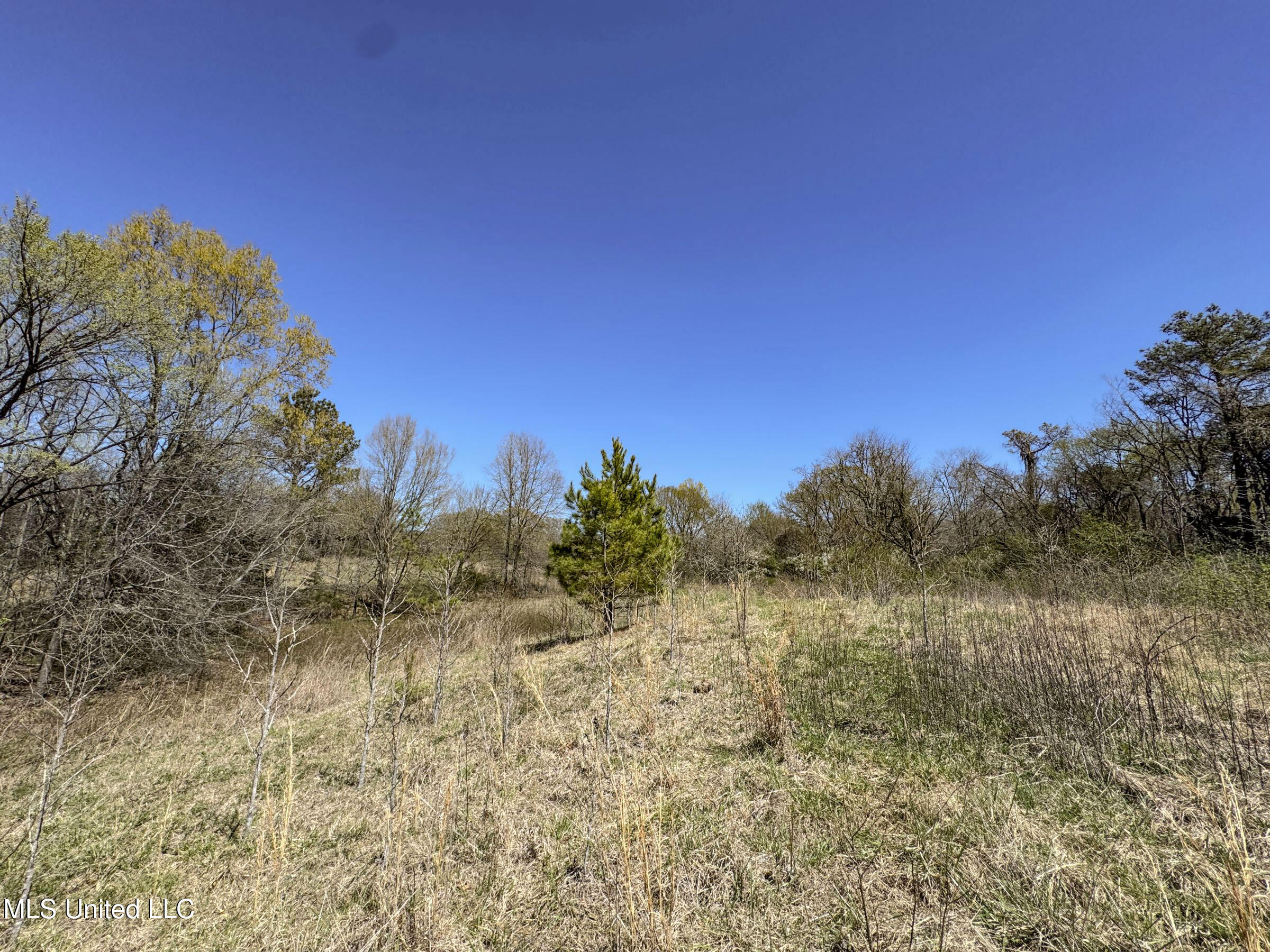 Ms-35 Charleston, MS 38921 - Photo 109 of 119 4omtch55