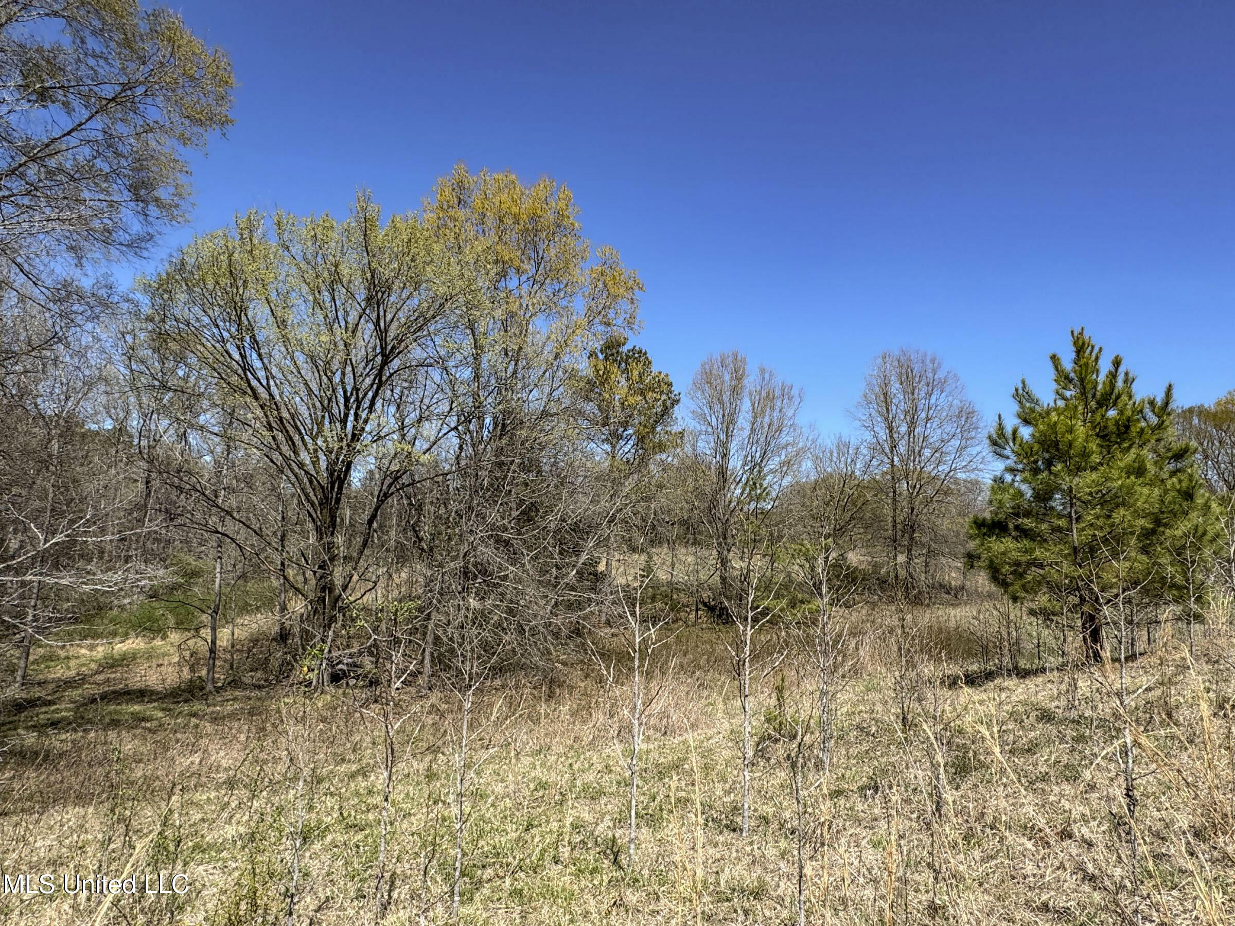 Ms-35 Charleston, MS 38921 - Photo 110 of 119 4omtch56