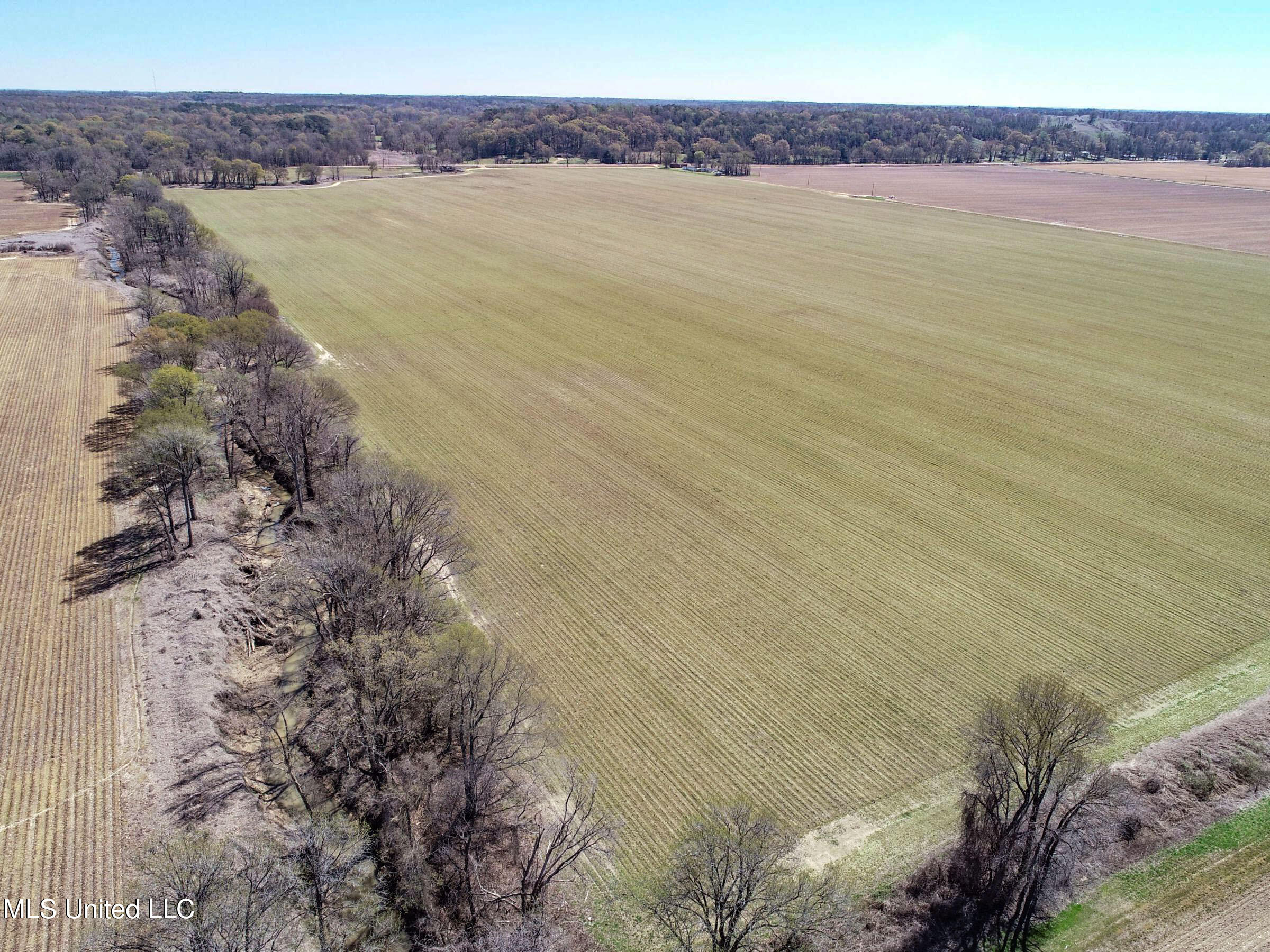 Ms-35 Charleston, MS 38921 - Photo 11 of 119 3omtch4
