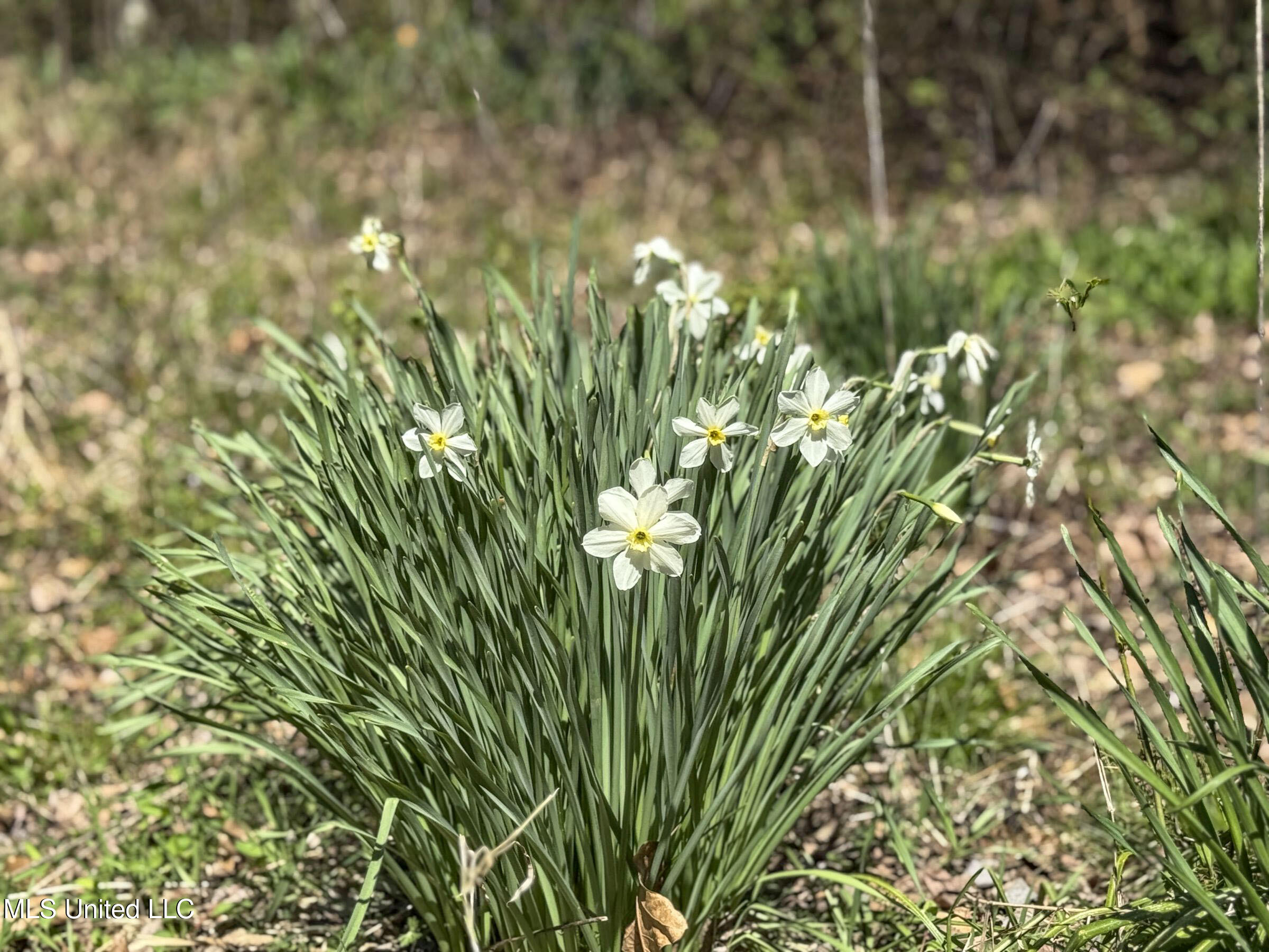 Ms-35 Charleston, MS 38921 - Photo 111 of 119 4omtch58
