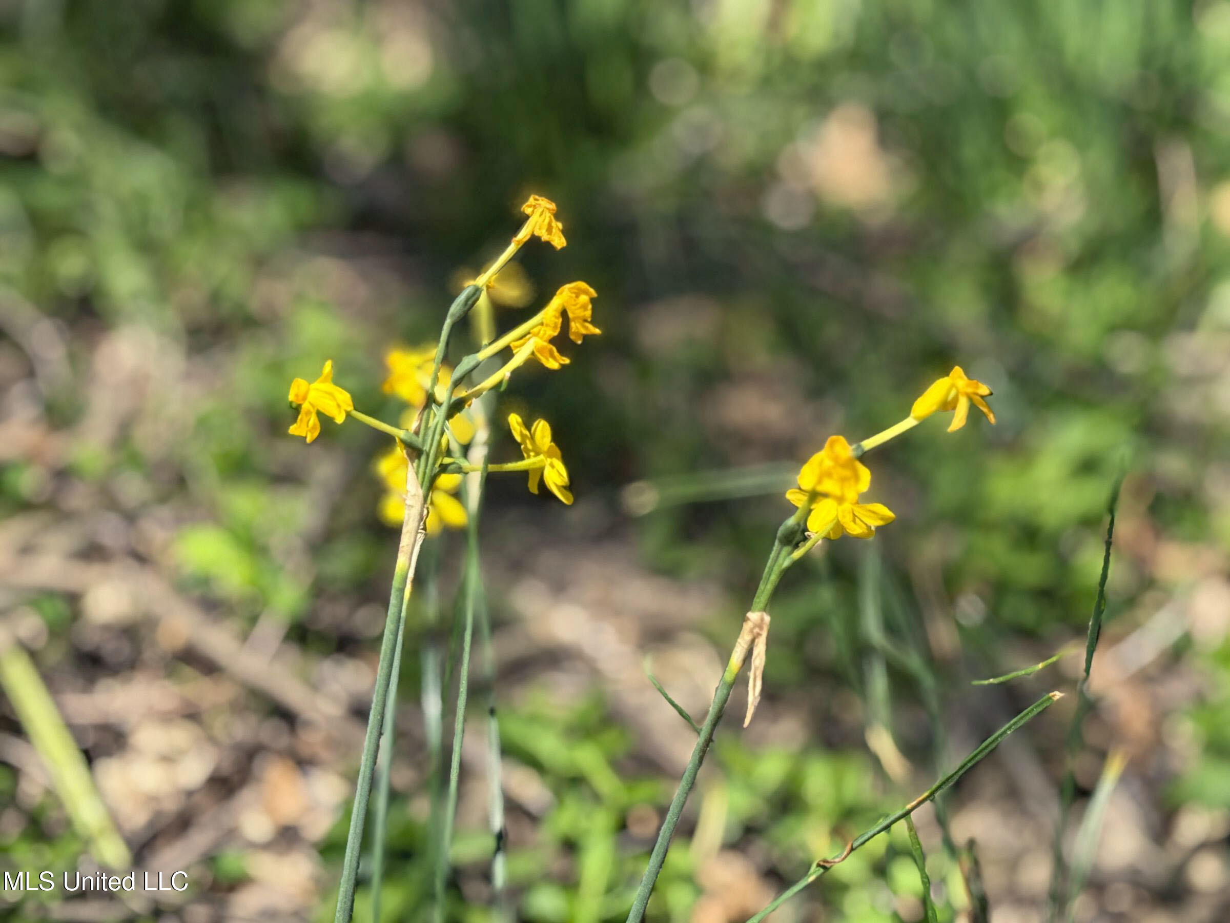 Ms-35 Charleston, MS 38921 - Photo 112 of 119 4omtch59