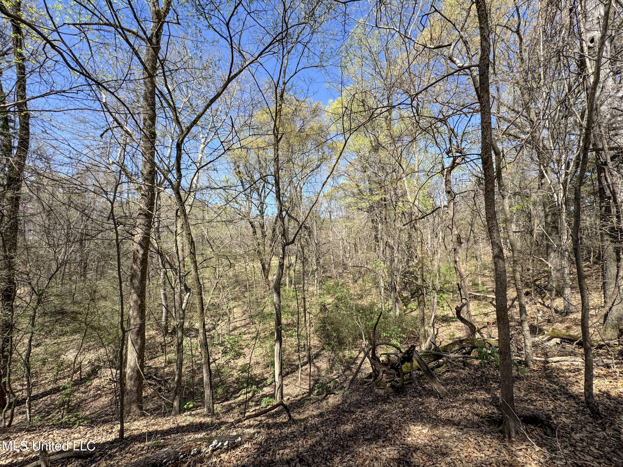 Ms-35 Charleston, MS 38921 - Photo 114 of 119 4omtch64