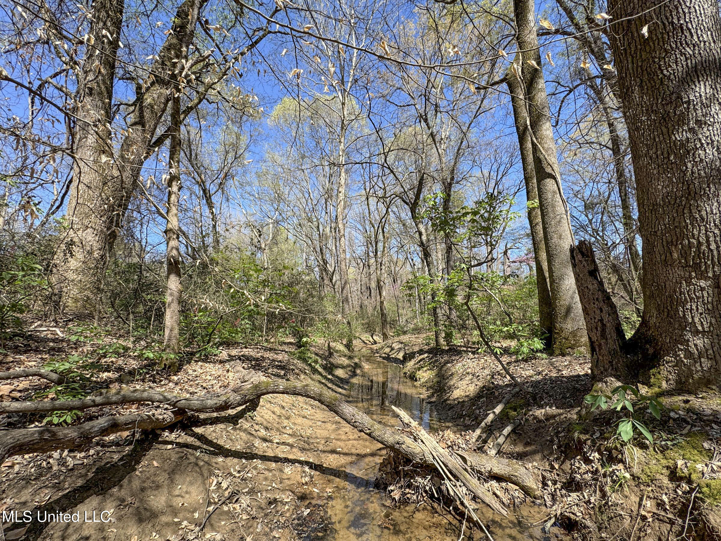 Ms-35 Charleston, MS 38921 - Photo 115 of 119 4omtch65