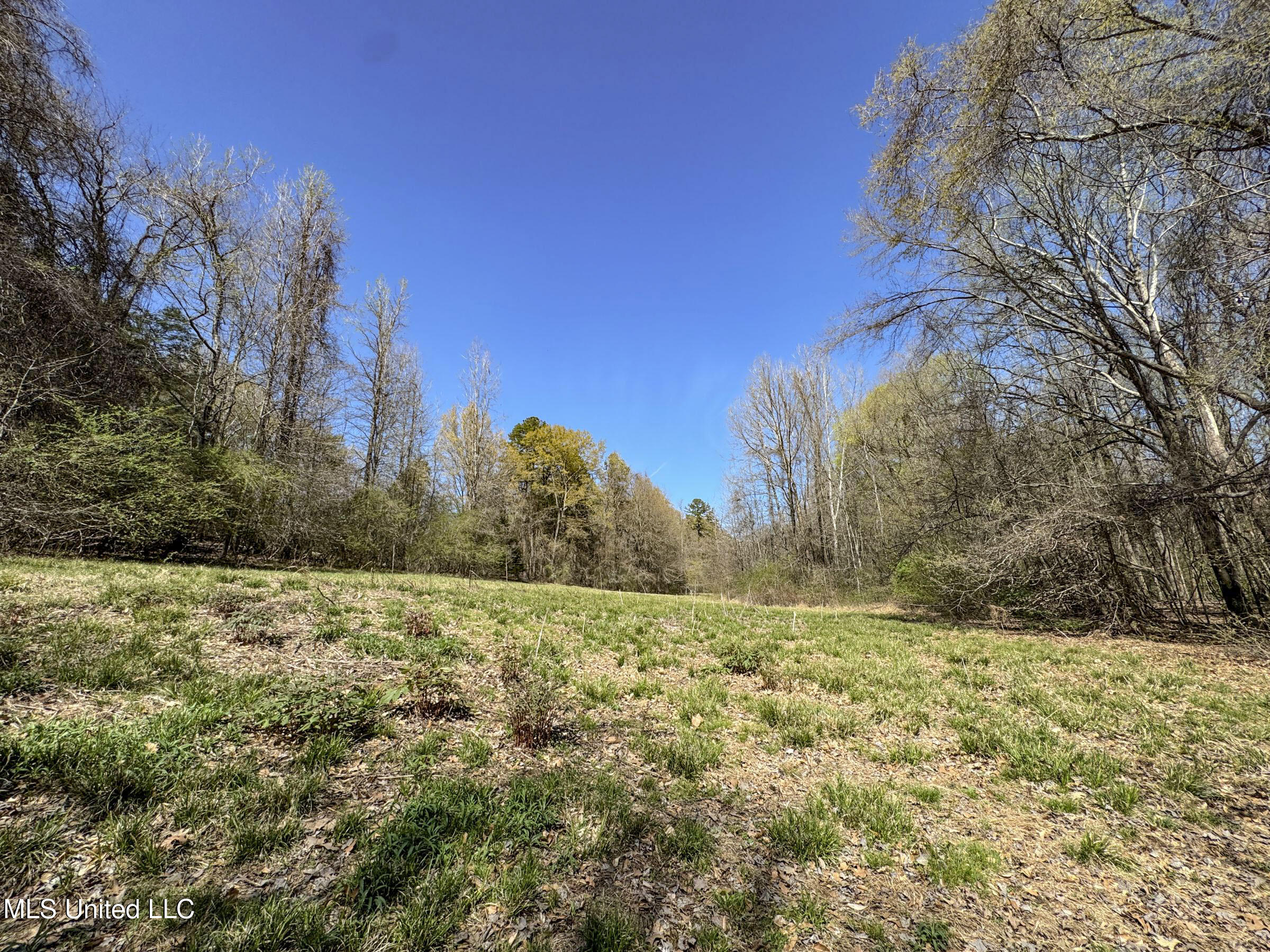 Ms-35 Charleston, MS 38921 - Photo 116 of 119 4omtch66