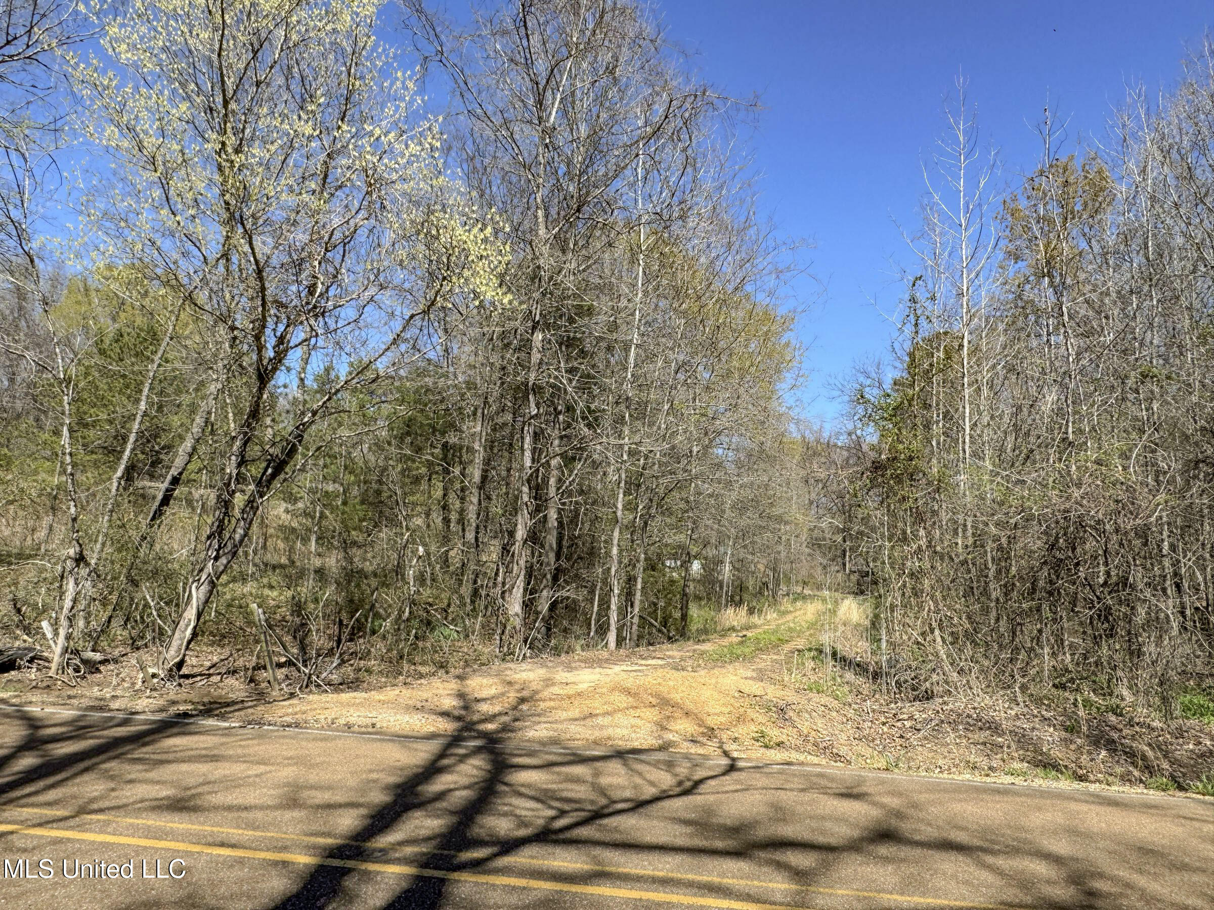 Ms-35 Charleston, MS 38921 - Photo 118 of 119 4omtch68