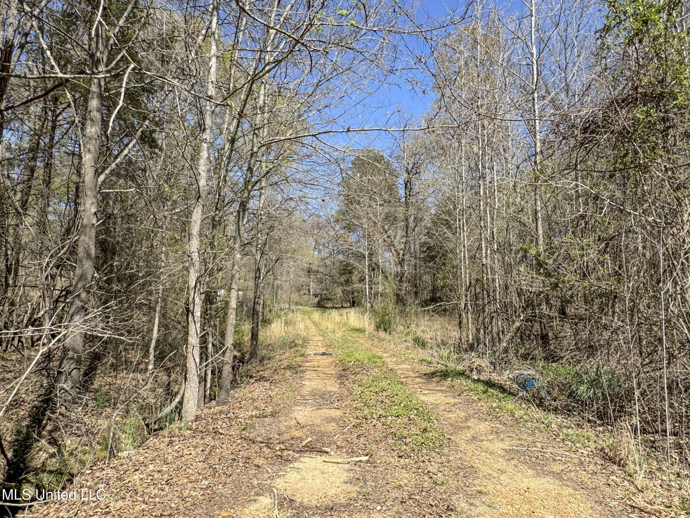 Ms-35 Charleston, MS 38921 - Photo 119 of 119 4omtch69