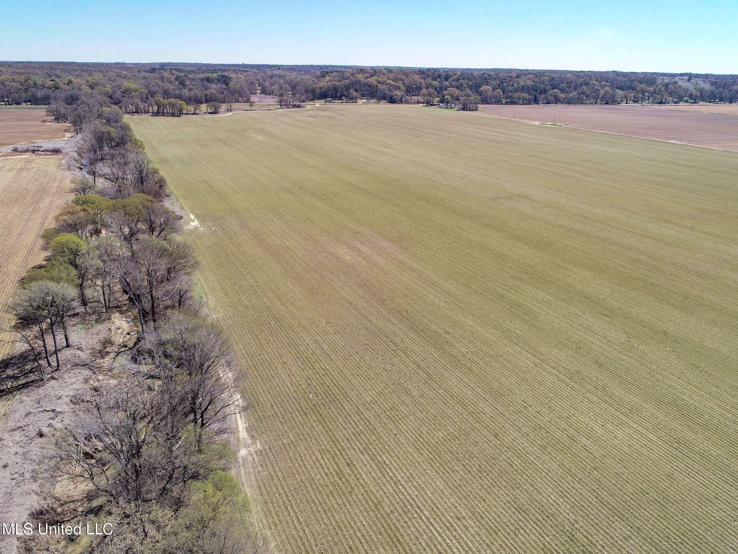Ms-35 Charleston, MS 38921 - Photo 12 of 119 3omtch5