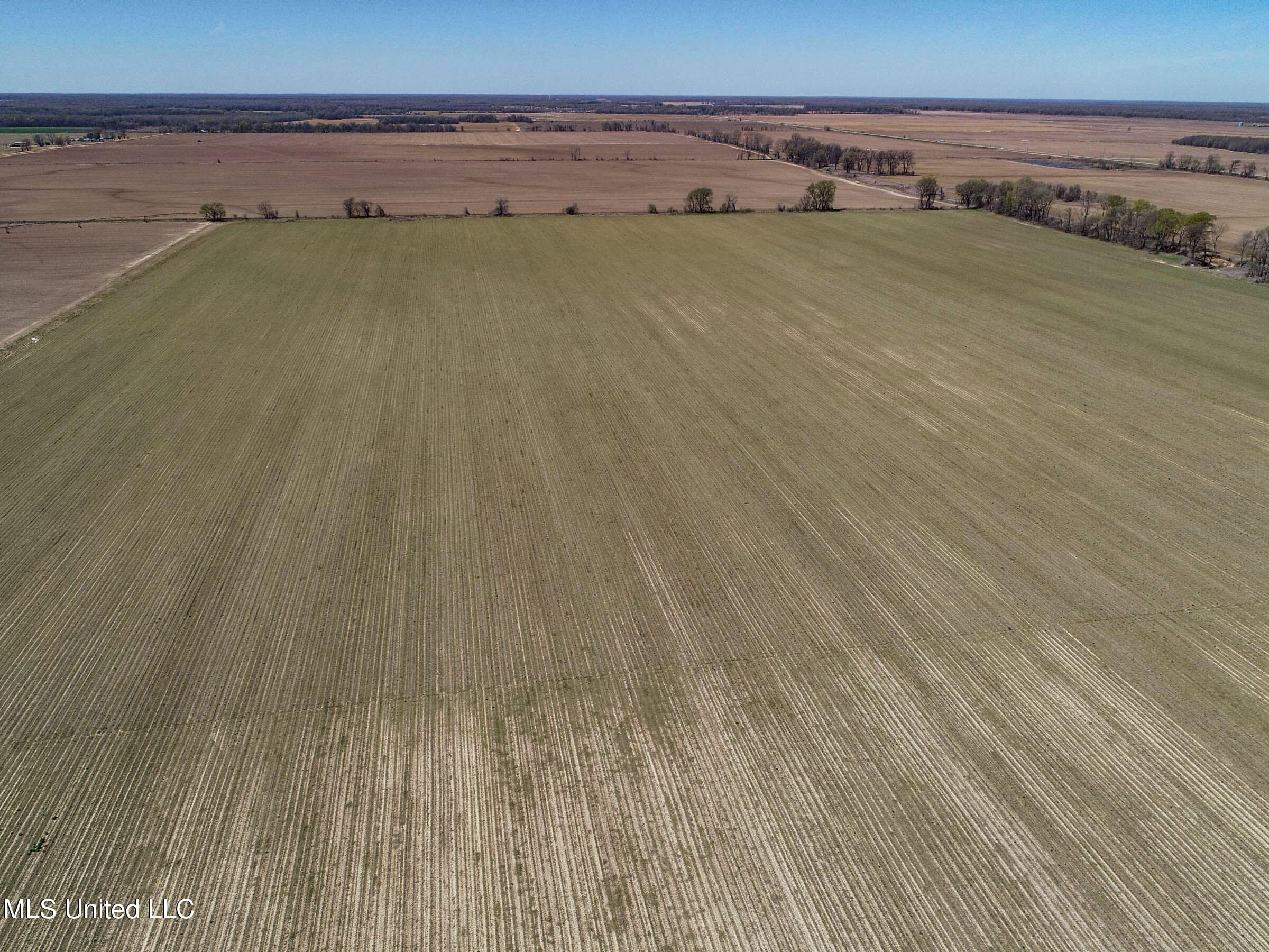 Ms-35 Charleston, MS 38921 - Photo 13 of 119 3omtch6