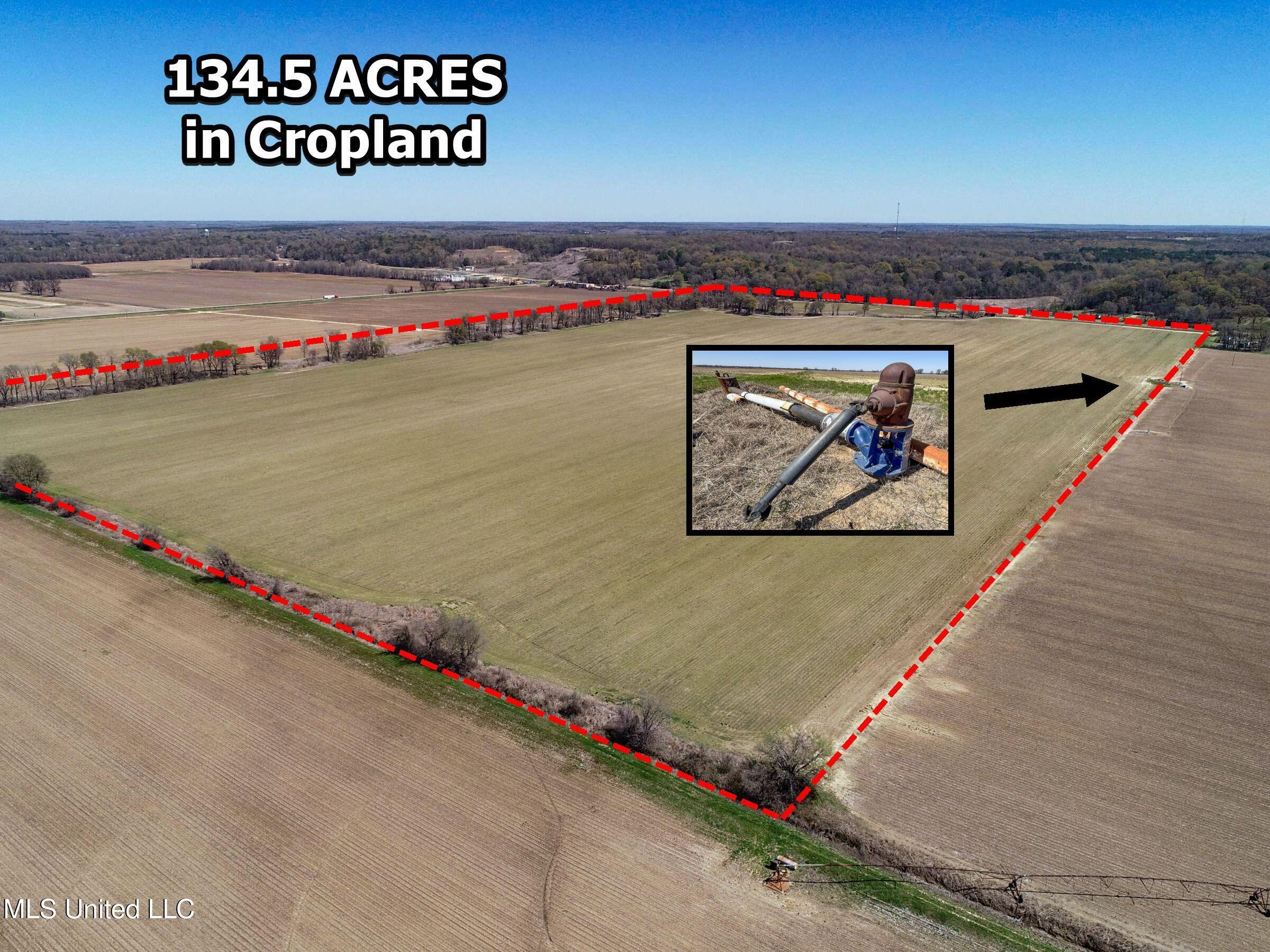 Ms-35 Charleston, MS 38921 - Photo 14 of 119 3omtch7c