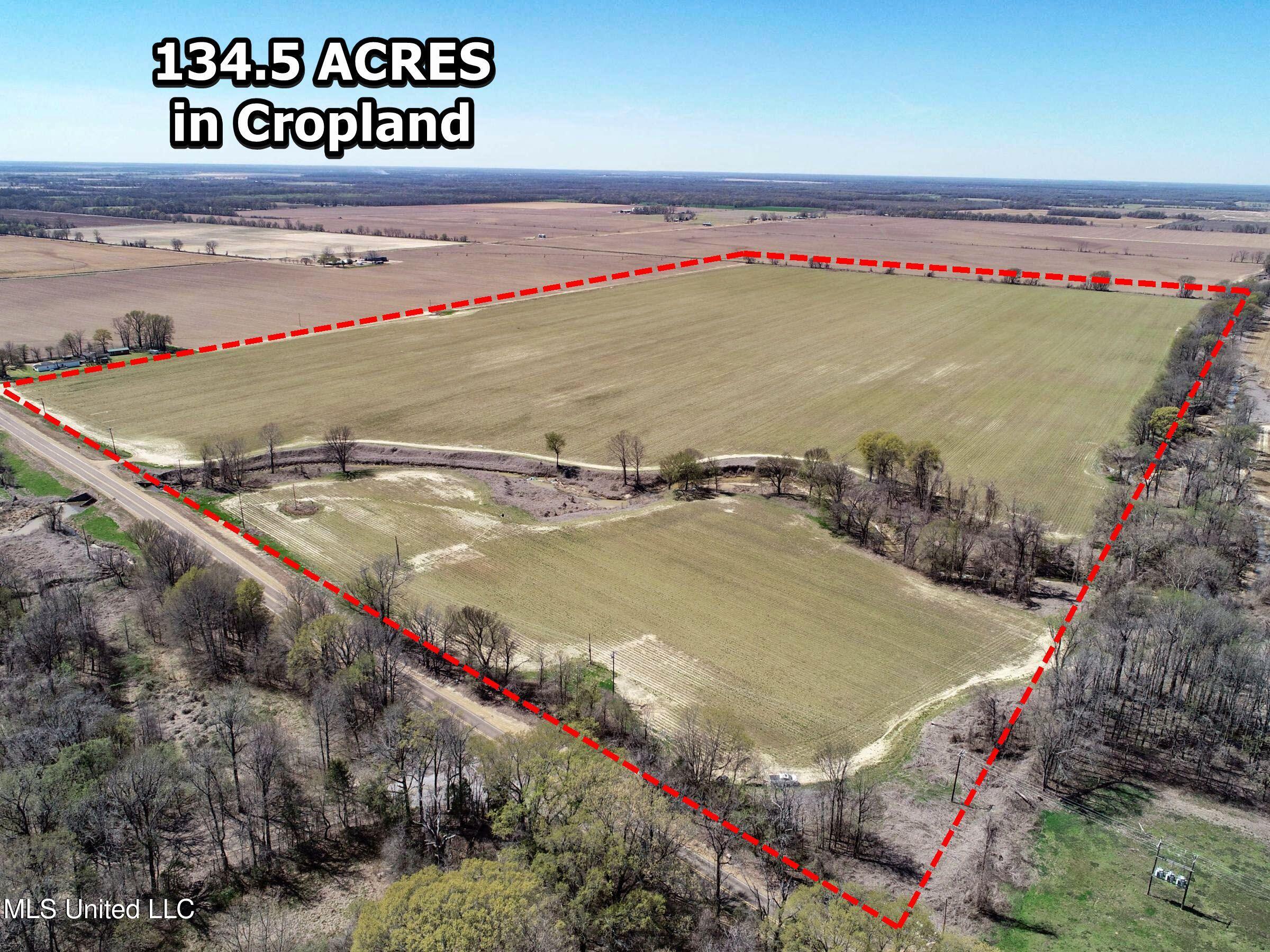 Ms-35 Charleston, MS 38921 - Photo 17 of 119 3omtch11b