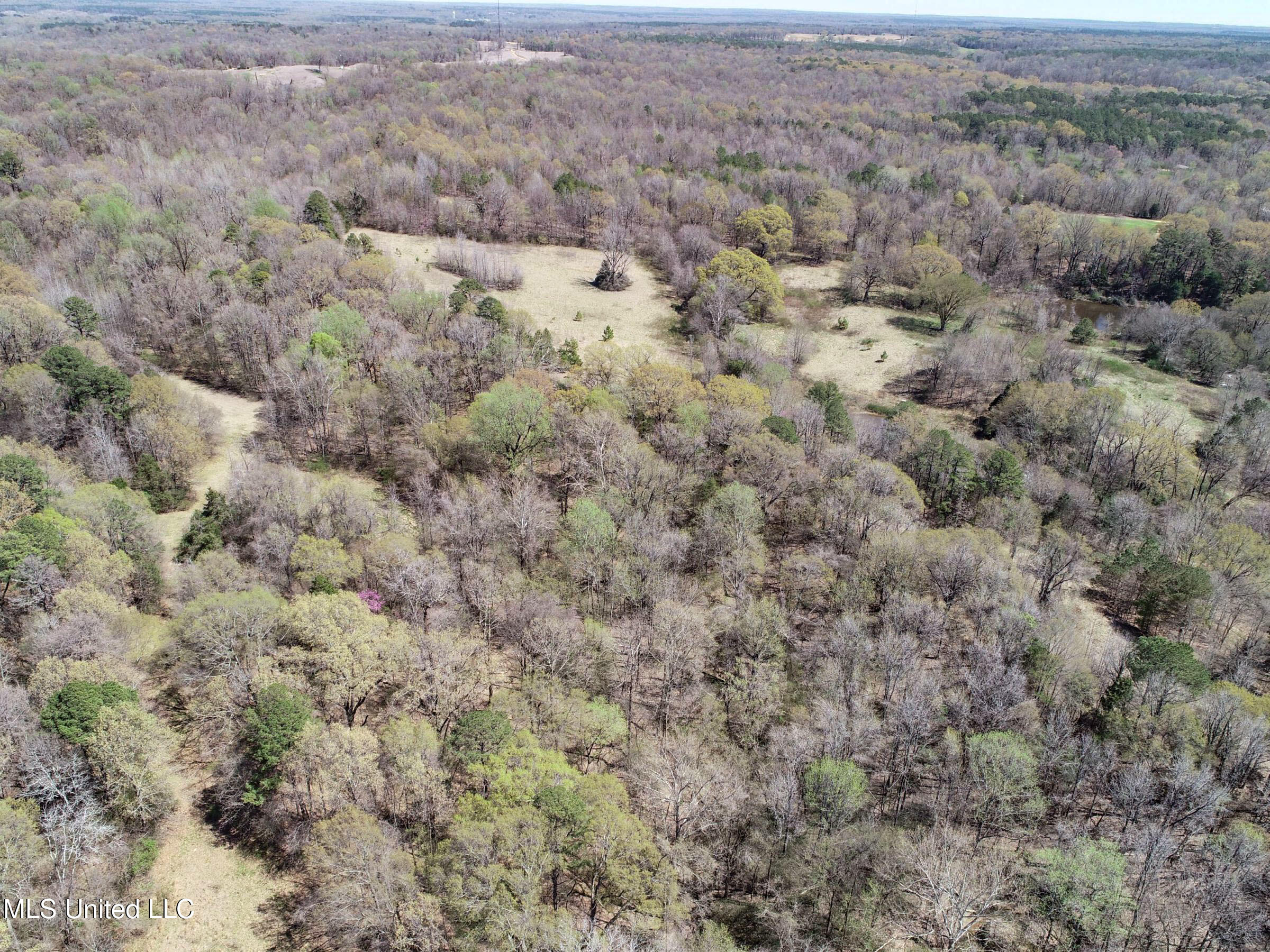 Ms-35 Charleston, MS 38921 - Photo 34 of 119 3omtch29