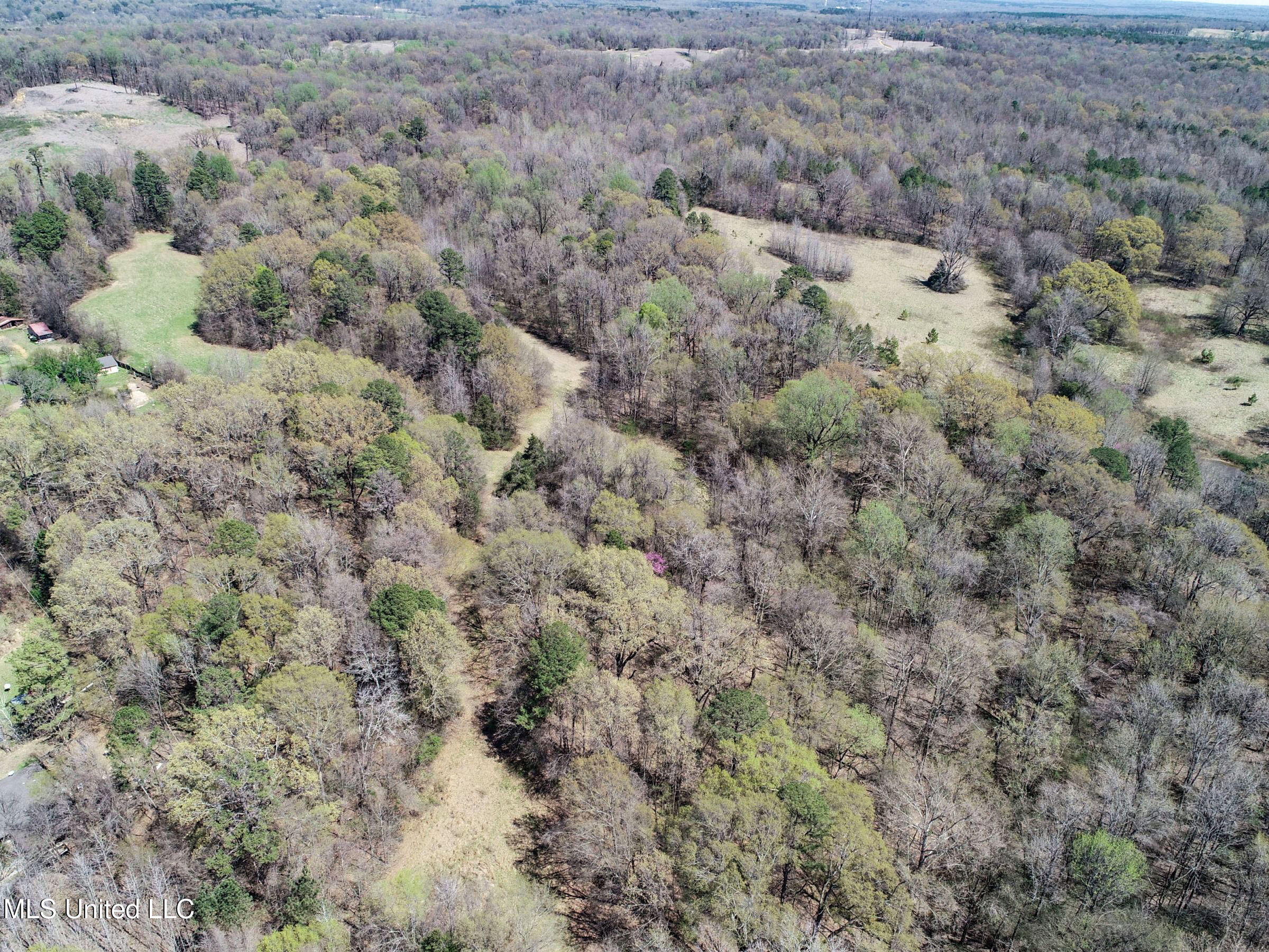 Ms-35 Charleston, MS 38921 - Photo 35 of 119 3omtch30