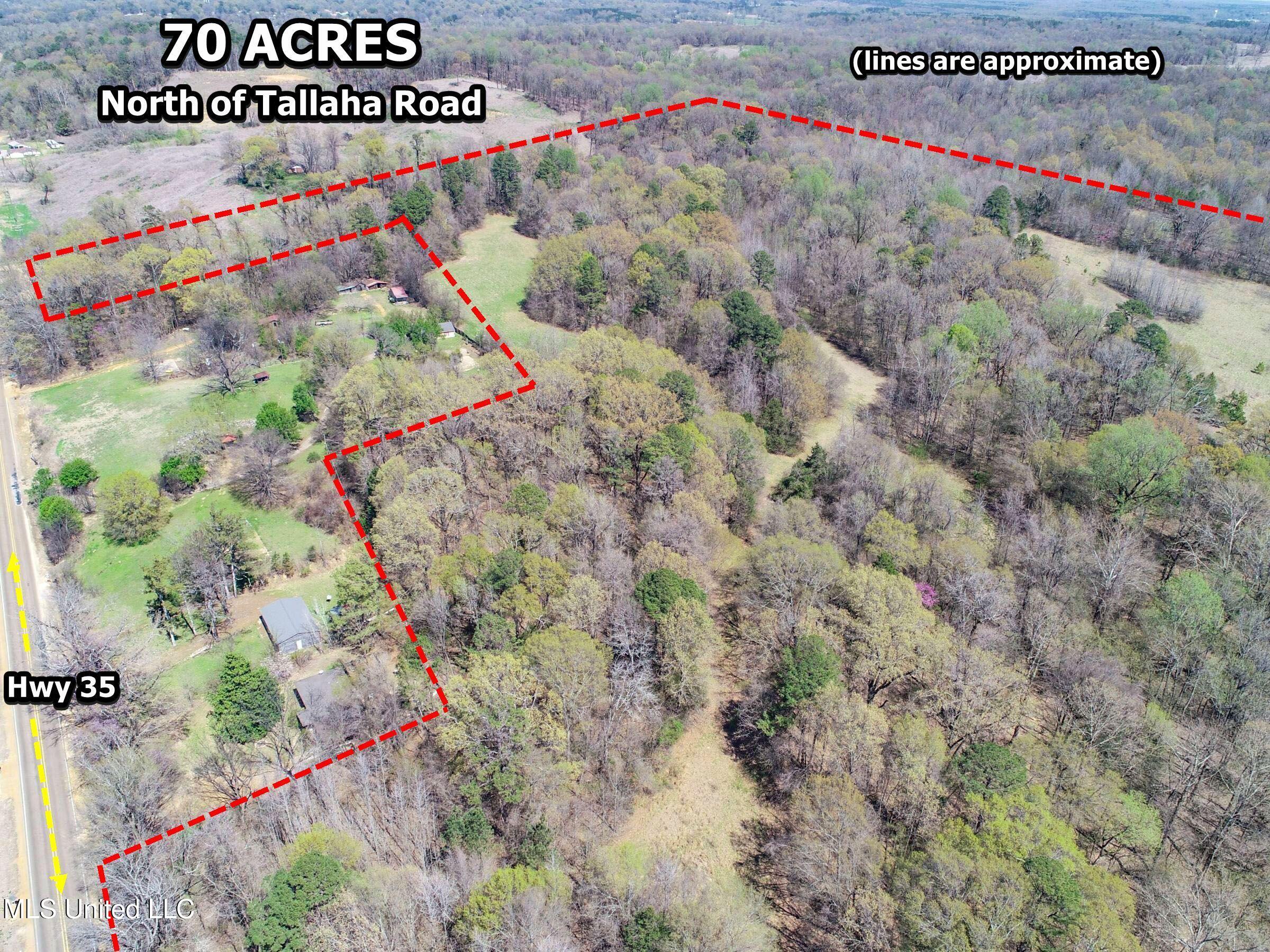 Ms-35 Charleston, MS 38921 - Photo 36 of 119 3omtch31b