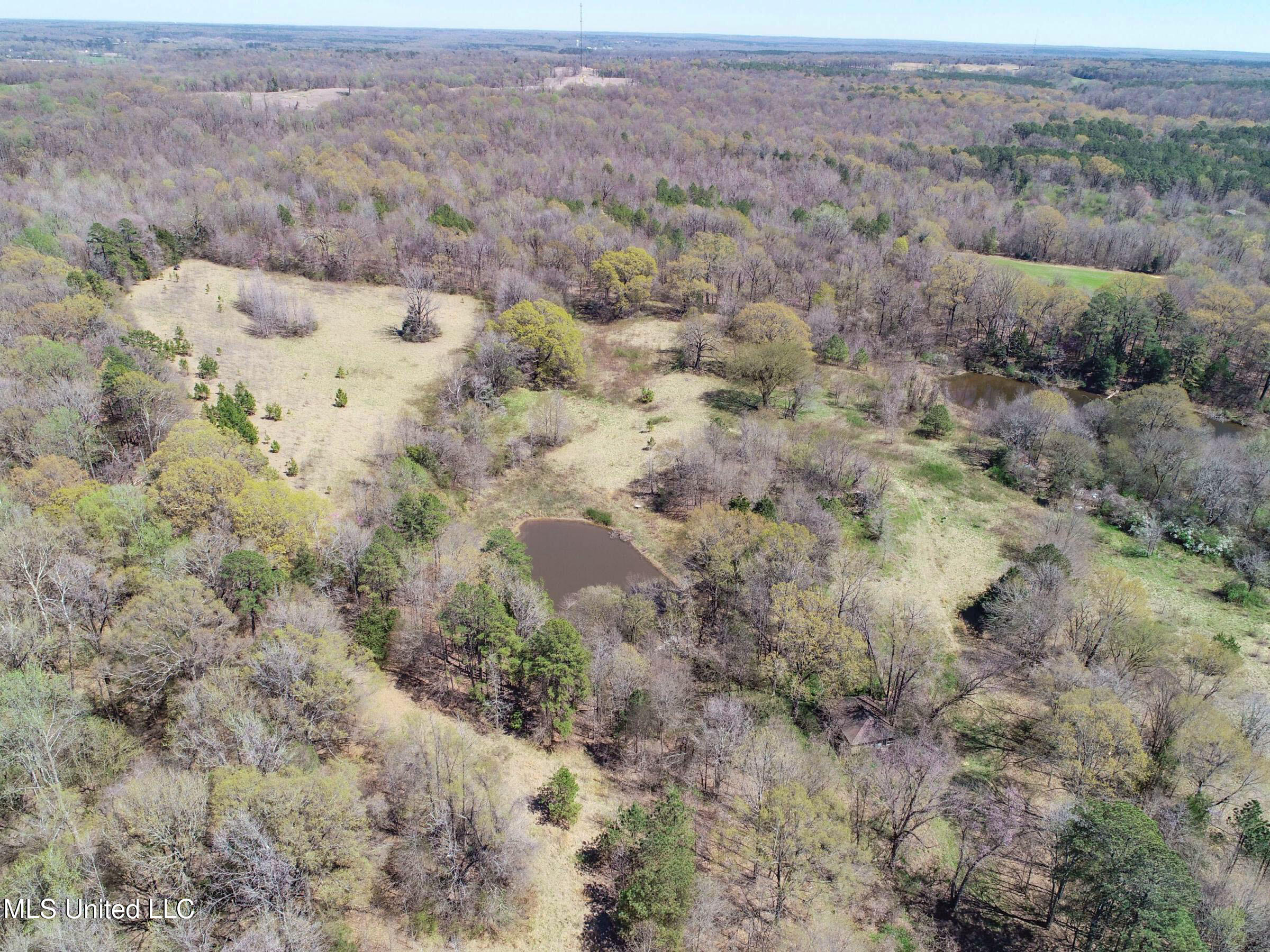 Ms-35 Charleston, MS 38921 - Photo 37 of 119 3omtch32