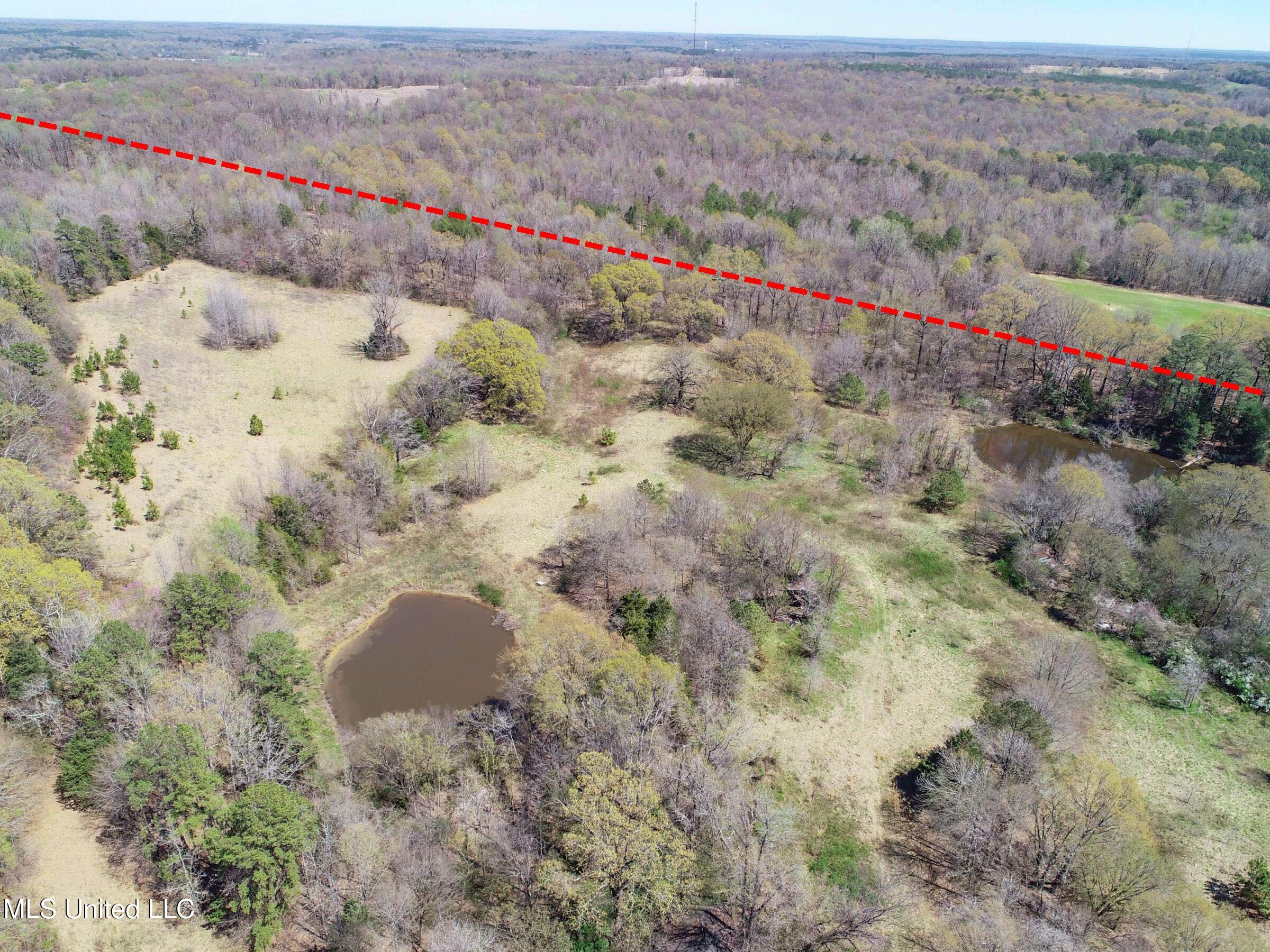 Ms-35 Charleston, MS 38921 - Photo 38 of 119 3omtch33b