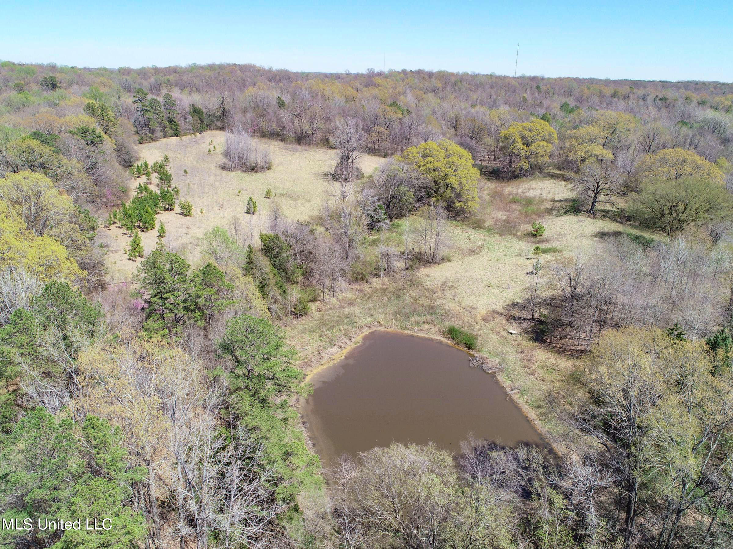 Ms-35 Charleston, MS 38921 - Photo 40 of 119 3omtch35