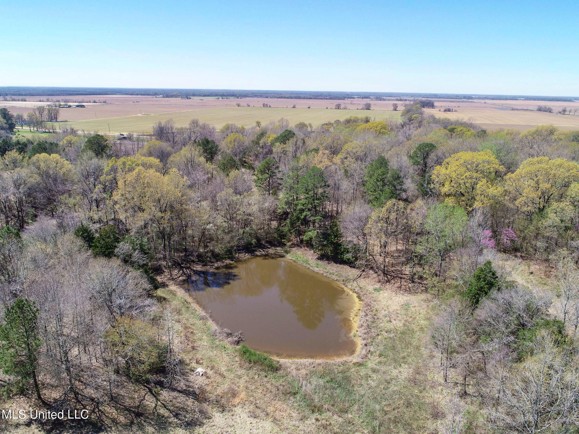 Ms-35 Charleston, MS 38921 - Photo 41 of 119 3omtch36