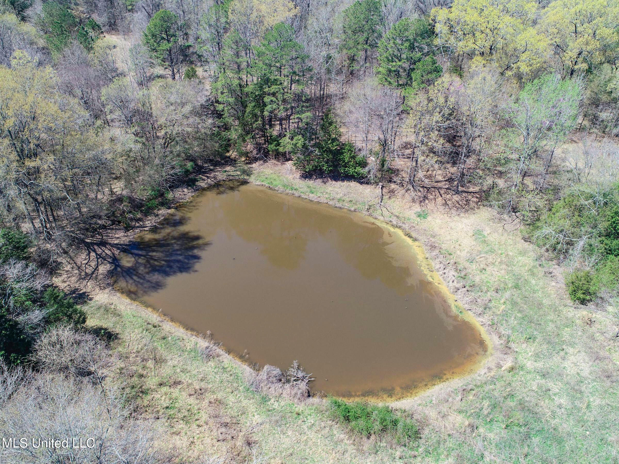 Ms-35 Charleston, MS 38921 - Photo 42 of 119 3omtch38