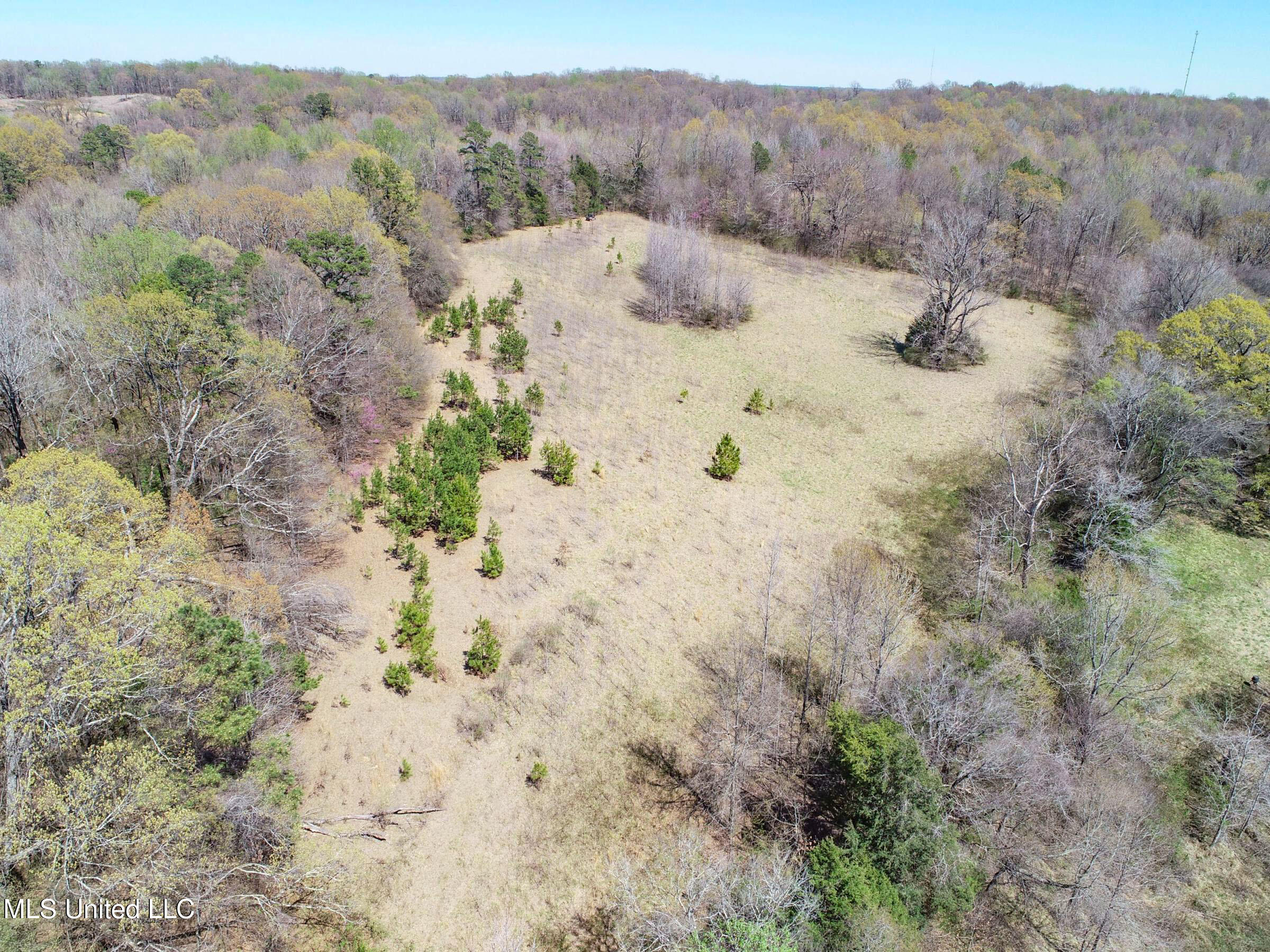Ms-35 Charleston, MS 38921 - Photo 43 of 119 3omtch39