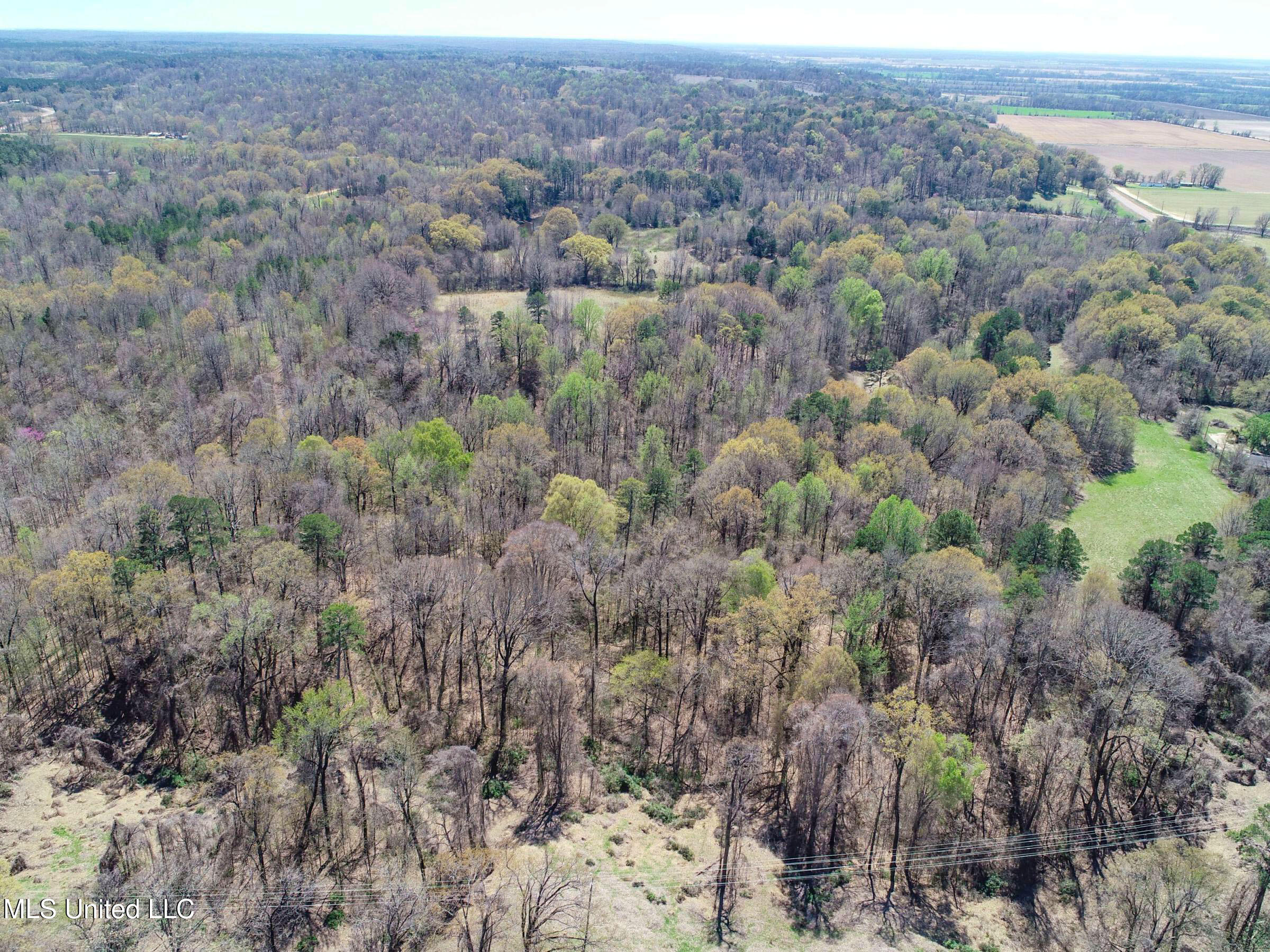 Ms-35 Charleston, MS 38921 - Photo 44 of 119 3omtch40