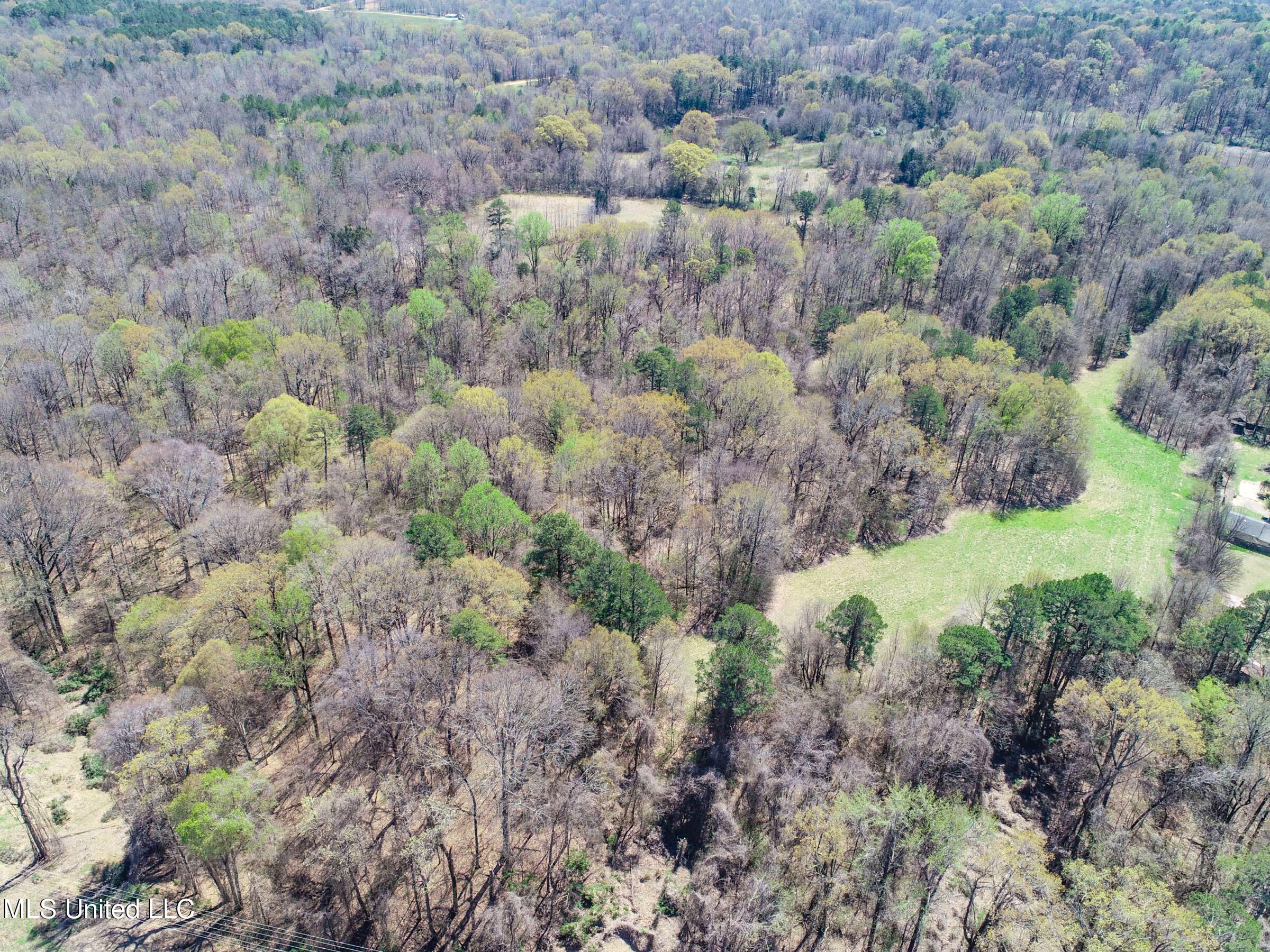 Ms-35 Charleston, MS 38921 - Photo 45 of 119 3omtch41