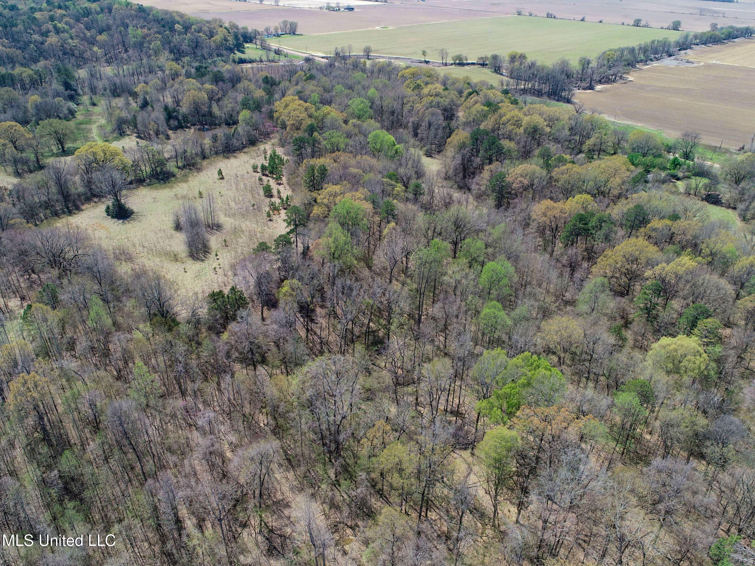 Ms-35 Charleston, MS 38921 - Photo 47 of 119 3omtch43