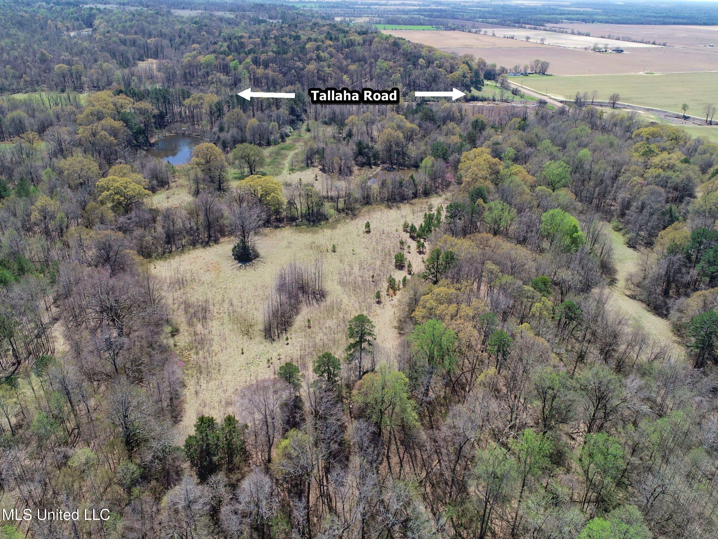 Ms-35 Charleston, MS 38921 - Photo 48 of 119 3omtch44b