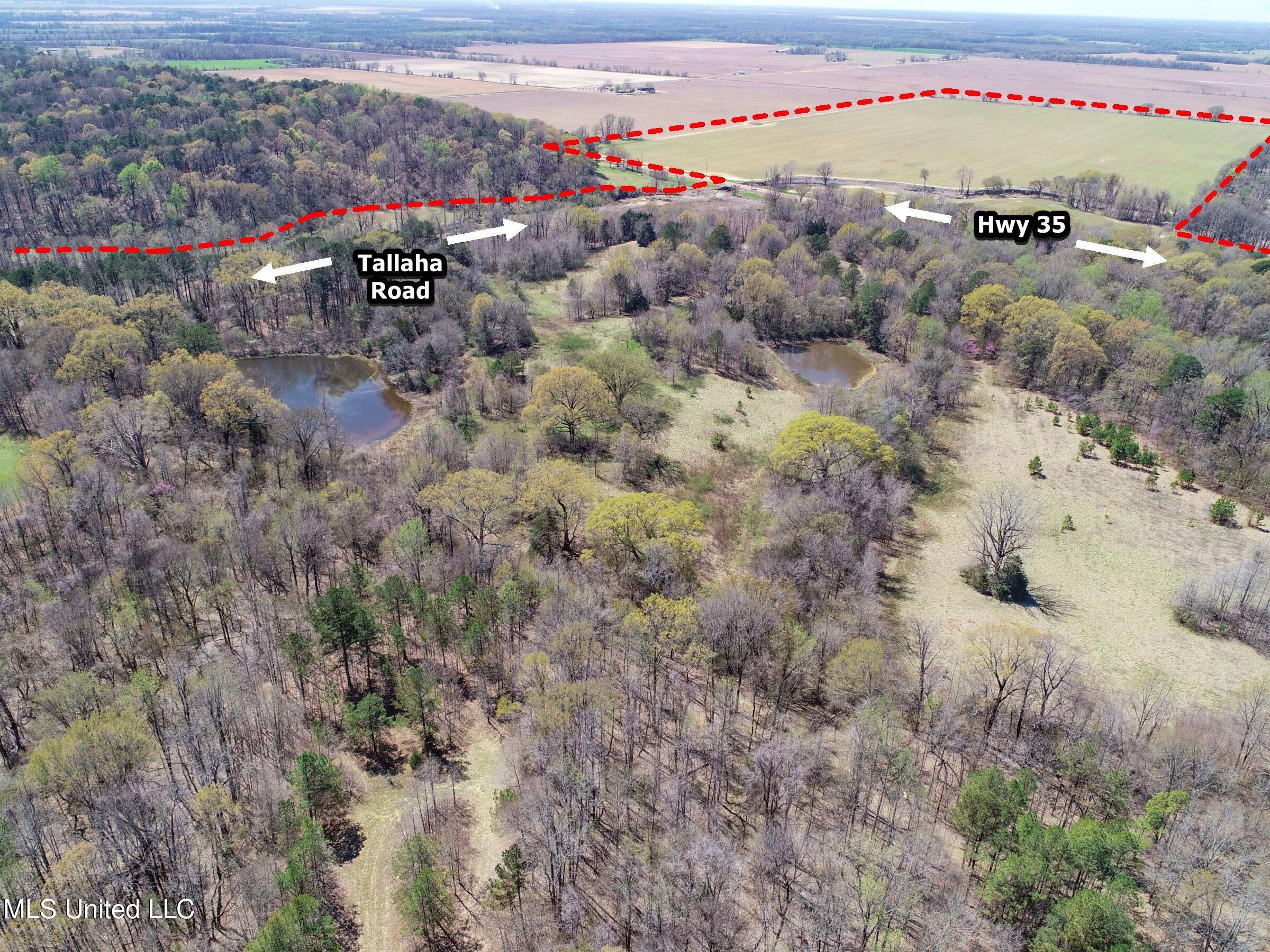 Ms-35 Charleston, MS 38921 - Photo 49 of 119 3omtch45c