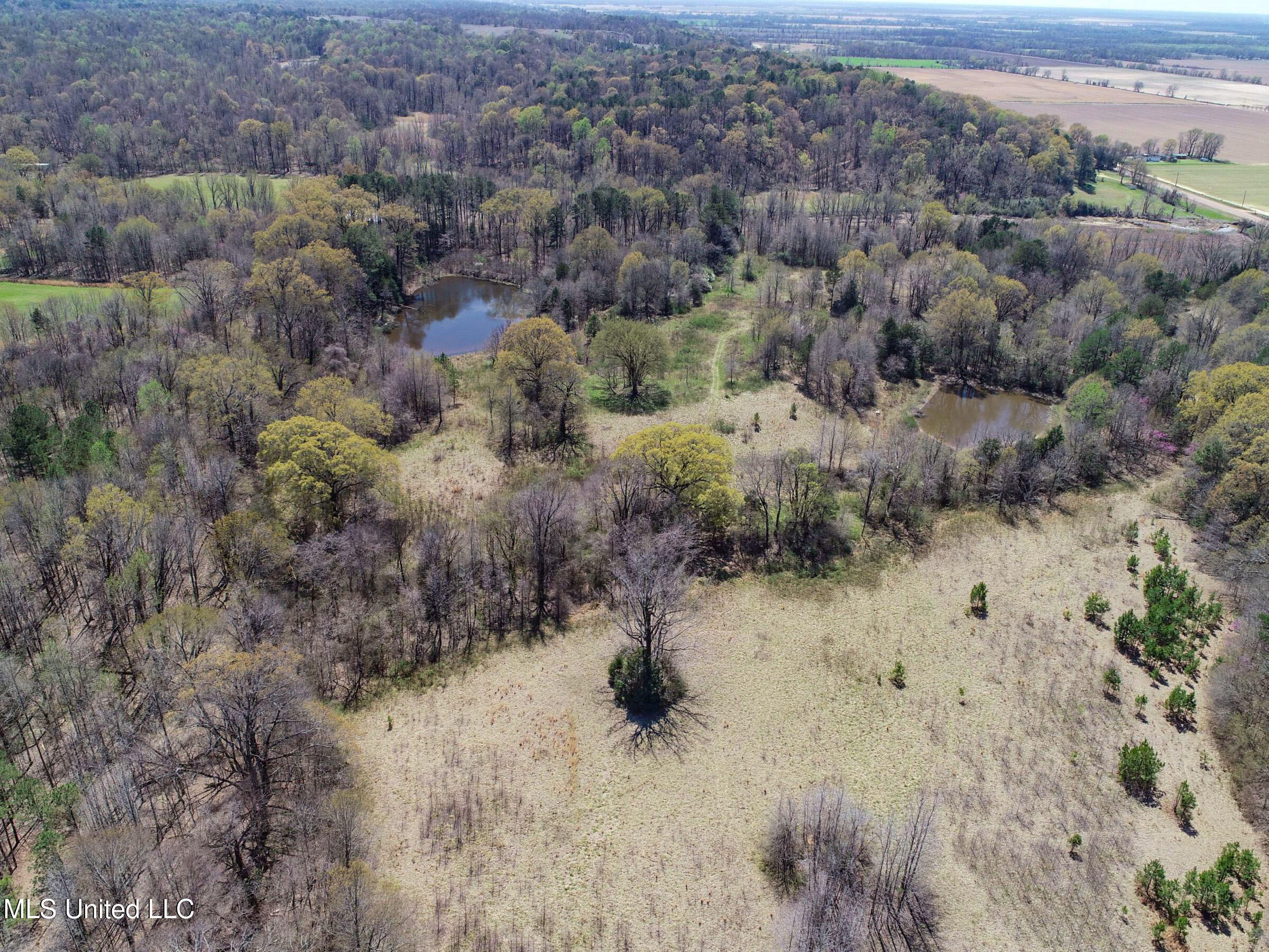 Ms-35 Charleston, MS 38921 - Photo 50 of 119 3omtch46