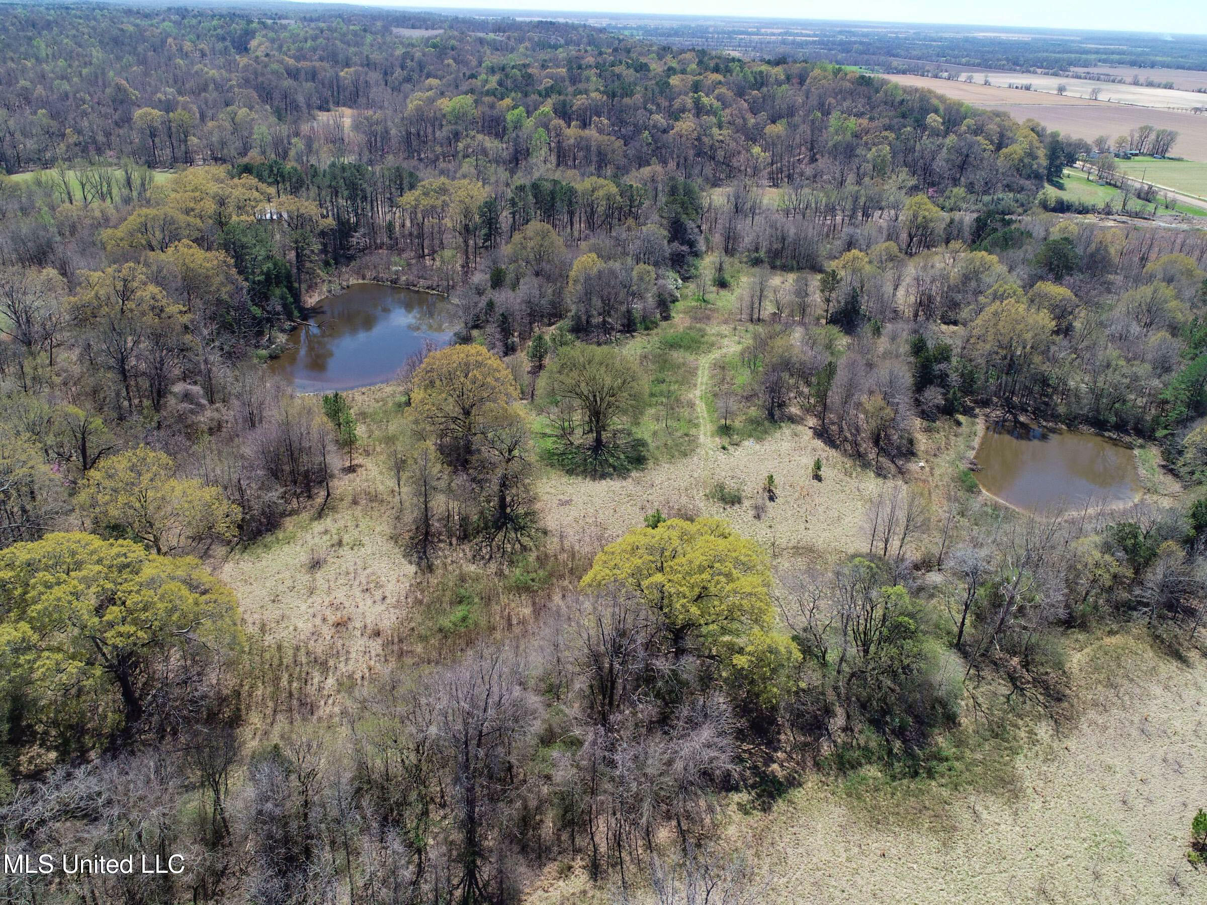 Ms-35 Charleston, MS 38921 - Photo 51 of 119 3omtch47
