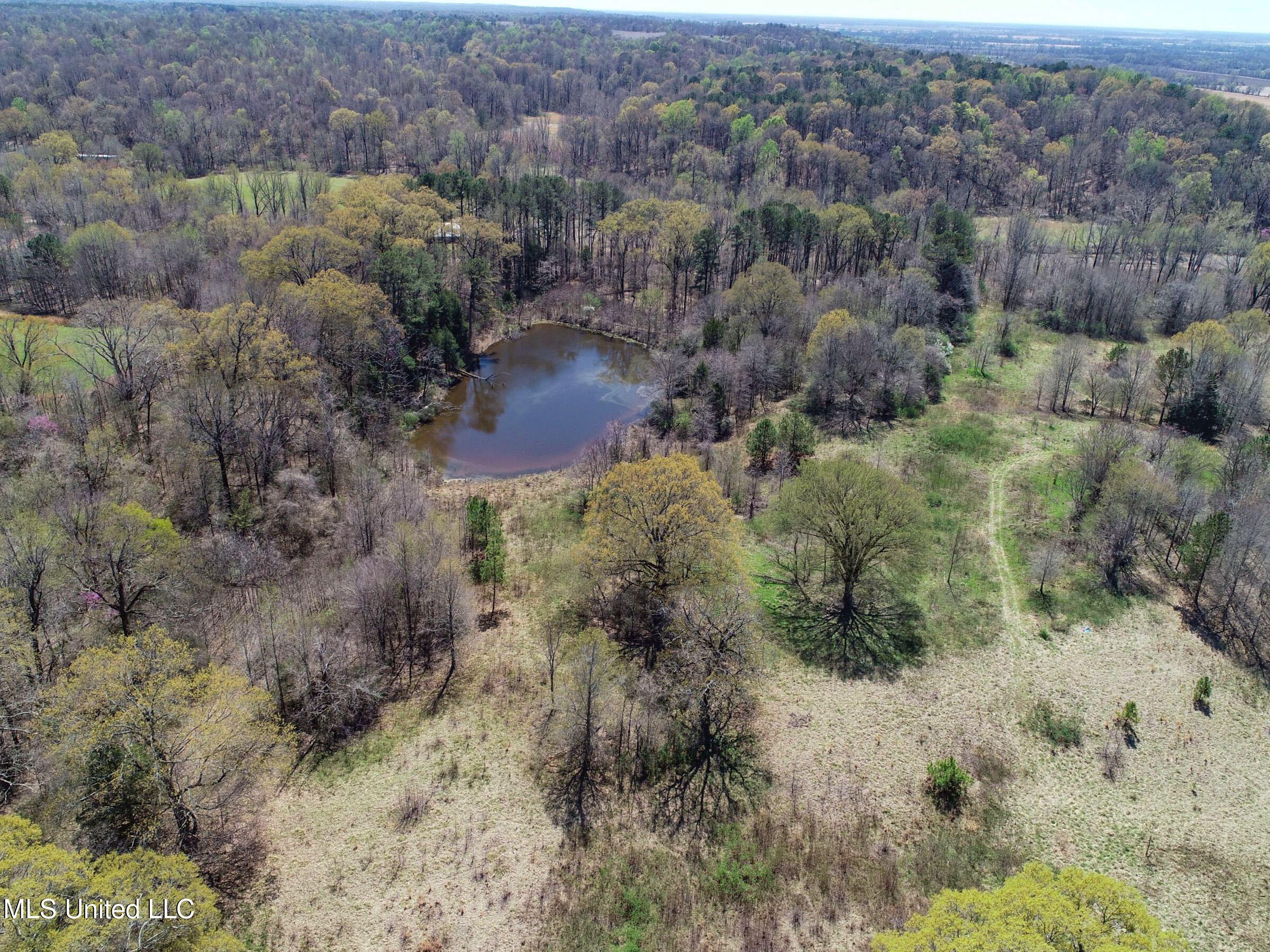 Ms-35 Charleston, MS 38921 - Photo 52 of 119 3omtch48