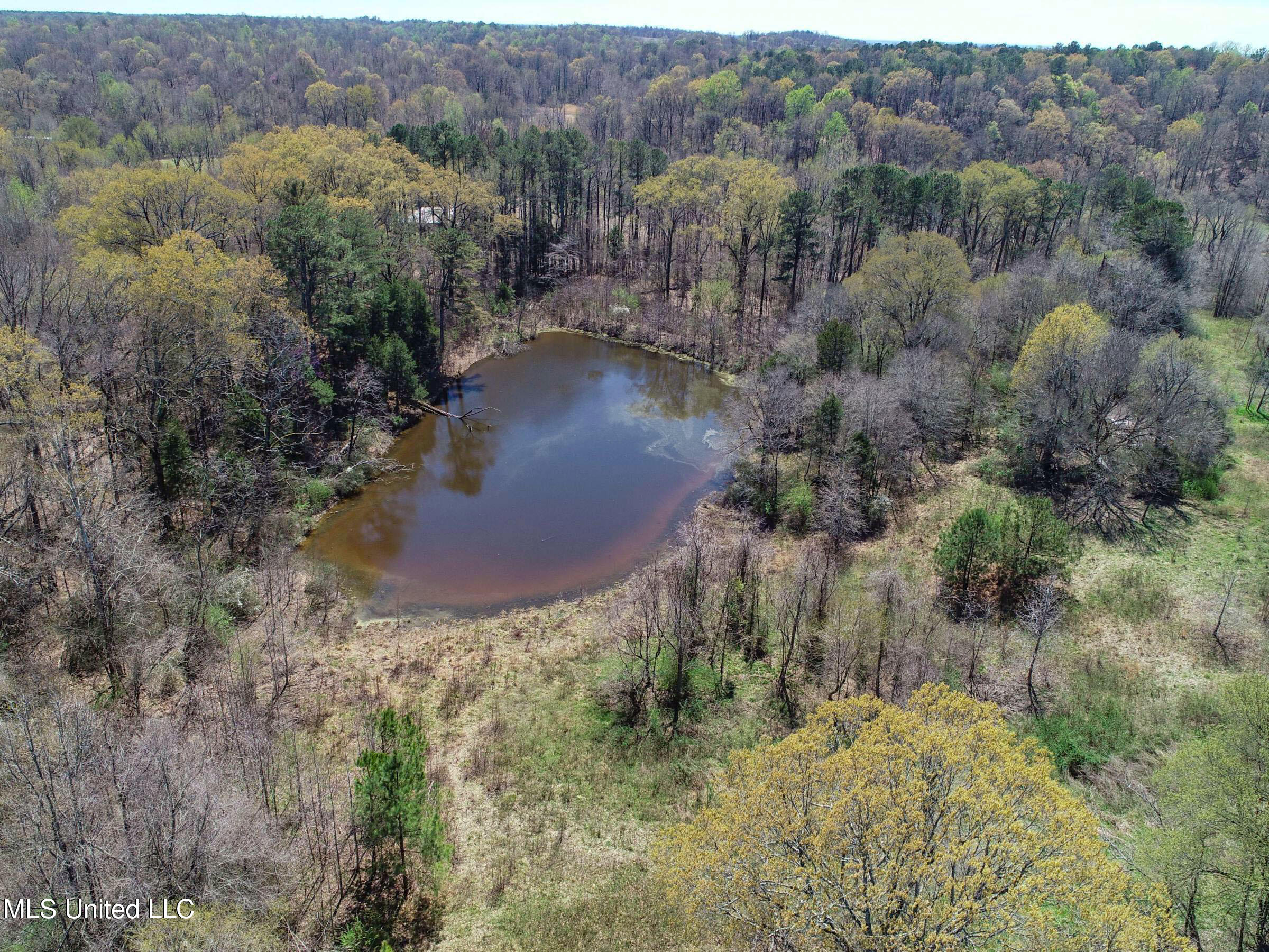 Ms-35 Charleston, MS 38921 - Photo 53 of 119 3omtch49