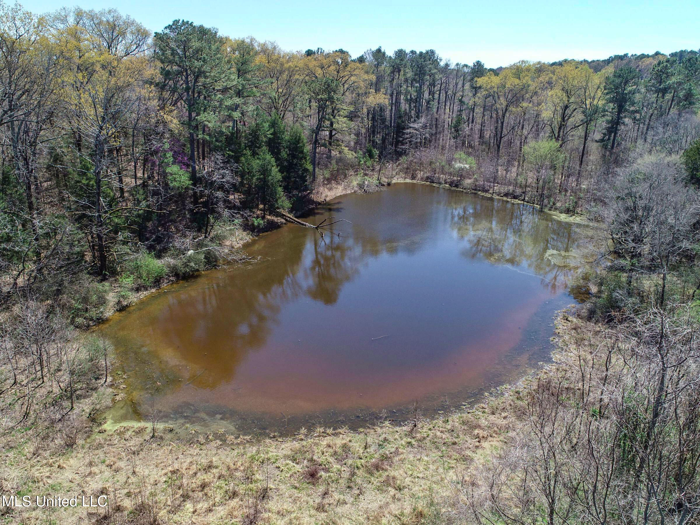 Ms-35 Charleston, MS 38921 - Photo 54 of 119 3omtch51